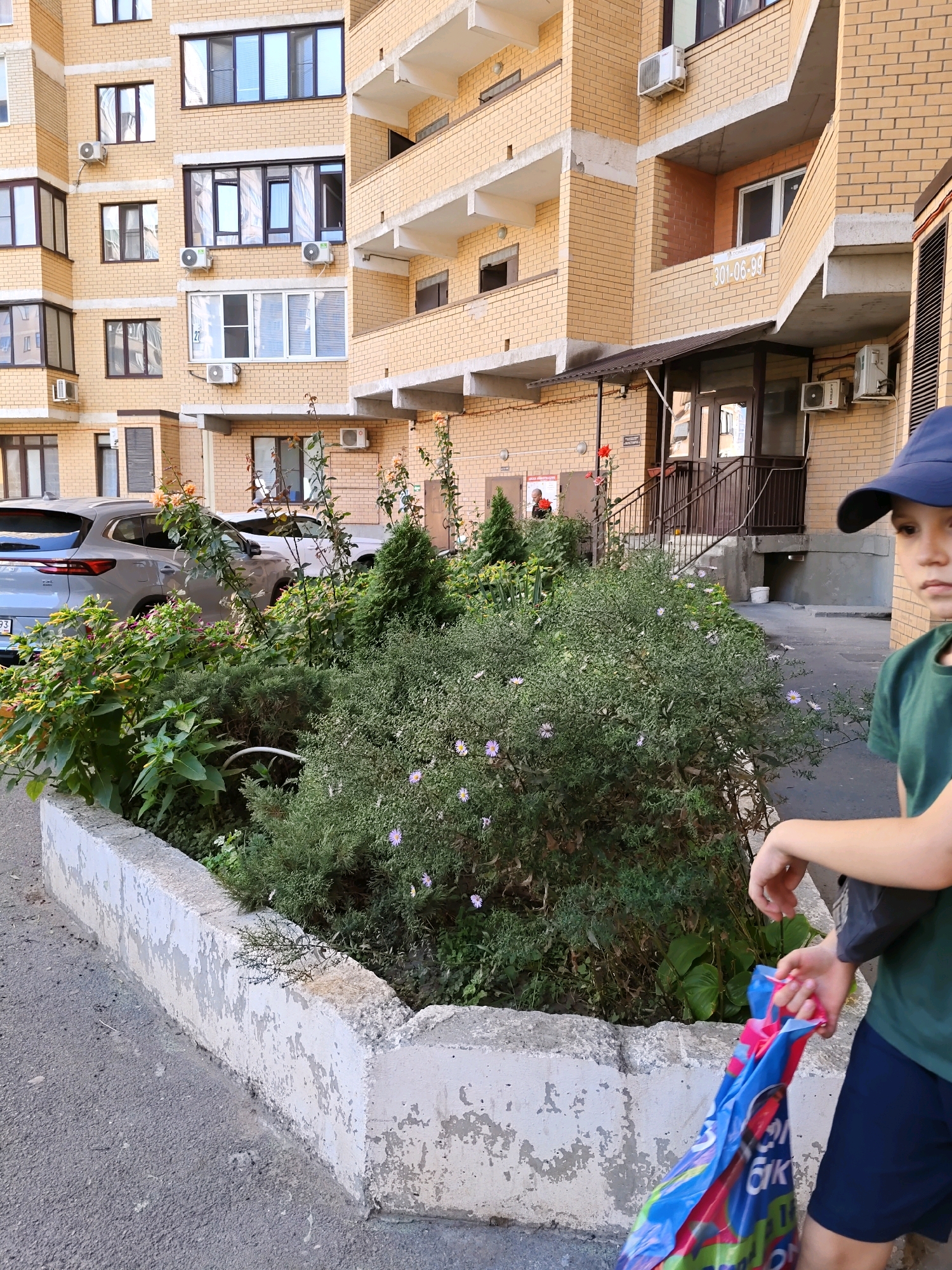 The image shows a residential building in Rostov-on-Don, Russia. The building is made of yellow brick and has multiple floors with balconies and windows. In the foreground, there is a concrete planter with dense green bushes and some small purple flowers. To the right, a young person wearing a blue baseball cap and a green t-shirt is partially visible, holding a colorful reusable shopping bag. Behind the planter, two cars are parked on the asphalt. The scene appears to be in a courtyard or residential area of the city.