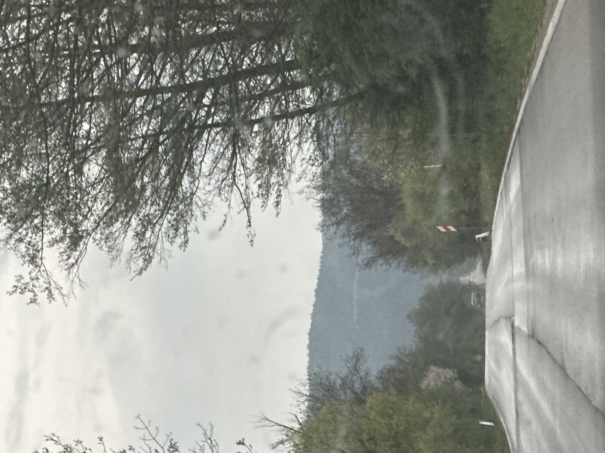 The image appears to be taken from a moving vehicle on a road. The road is wet, suggesting recent rainfall. Trees line the left side of the road, and a mountain can be seen in the distance. A striped red and white road sign is visible near the road's edge. A car is faintly visible in the distance on the road. Although, the exact location is provided, there is no additional information to verify that location from the image alone.
