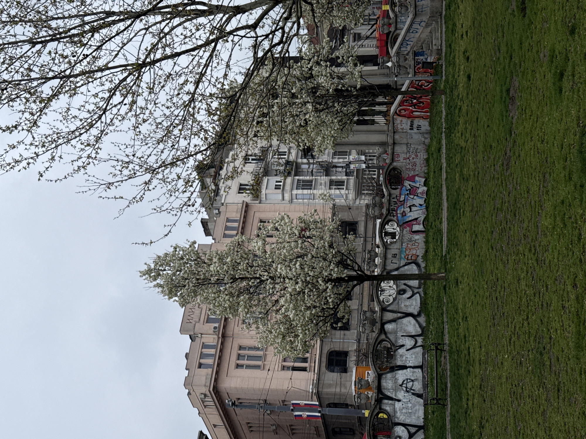 The image depicts a street scene in Belgrade, Serbia, featuring a building with graffiti-covered walls and flowering trees. The building is of light pink coloration and several stories high with multiple windows. The building is of pre-war construction and features Art Deco architecture. The walls between the building and the adjacent park are covered in graffiti. In the park, which is a swath of green grass, sit several wrought iron park benches with decorative elements. Two blossoming trees are between the building and the benches. The sky is overcast.