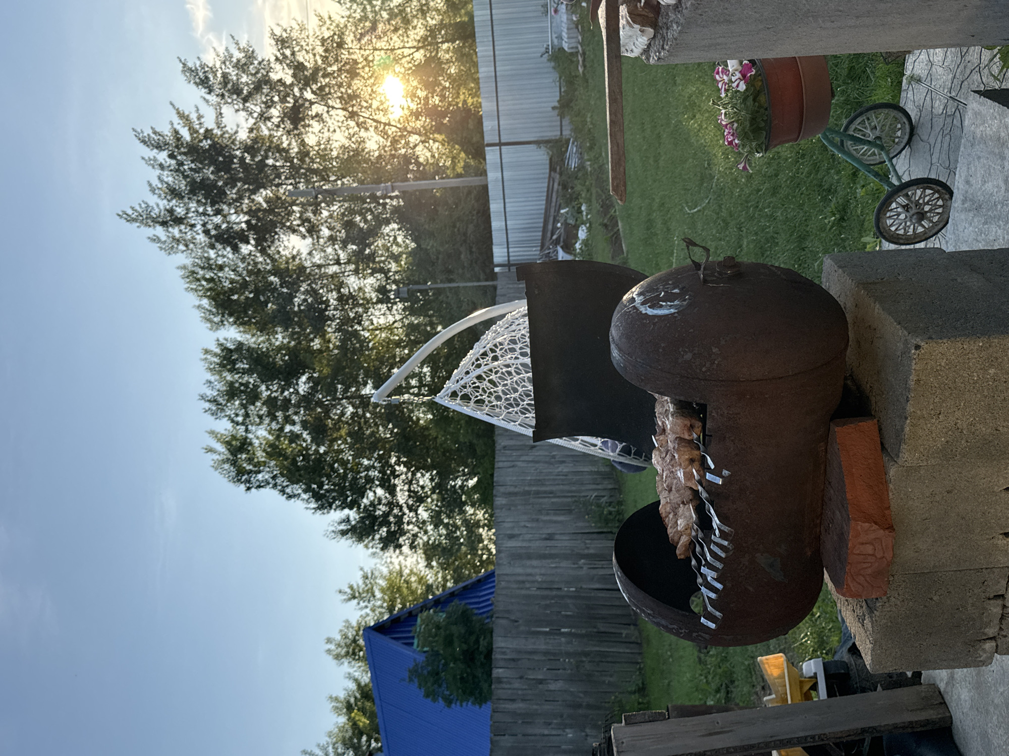This image depicts an outdoor scene, likely in Chaikovsky, Russia, during the late afternoon or early evening, as indicated by the warm, low-angled sunlight filtering through trees. The setting appears to be a yard or garden area.
The primary subject is a homemade barbecue grill constructed from a large, round metal tank, weathered and rusty. Skewers laden with raw meat are positioned within the grill, suggesting that food is being prepared for cooking. A white net-like material, possibly part of a larger structure or a cover, is visible behind the grill. The grill itself is resting on concrete blocks and a red brick.
In the background, a wooden fence encloses the area, and beyond that, green grass and more trees are visible. A bright blue roof of a building can be seen peeking through the foliage. The sky is clear and blue with some wispy clouds.
To the right of the grill, a terracotta pot filled with pink and white petunias sits on a decorative stone surface. A small, vintage-looking green cart with spoked wheels is nearby.
The overall mood is one of relaxed outdoor activity, likely a family gathering or a casual barbecue. There is no visible text in the image.