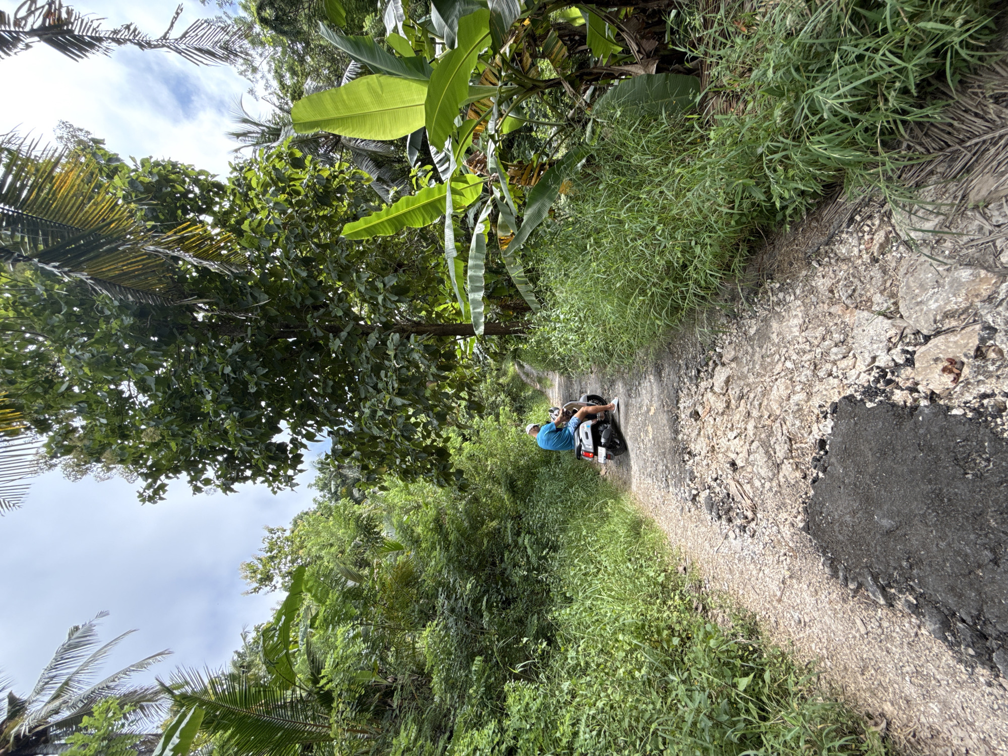 A person on a scooter drives down a cracked asphalt road flanked by dense, tropical vegetation. The road surface shows significant wear and tear with exposed aggregate and broken edges. Green foliage lines both sides of the road, forming a tunnel-like effect. The sky is visible through gaps in the trees. The location is likely Tanglad, Indonesia.