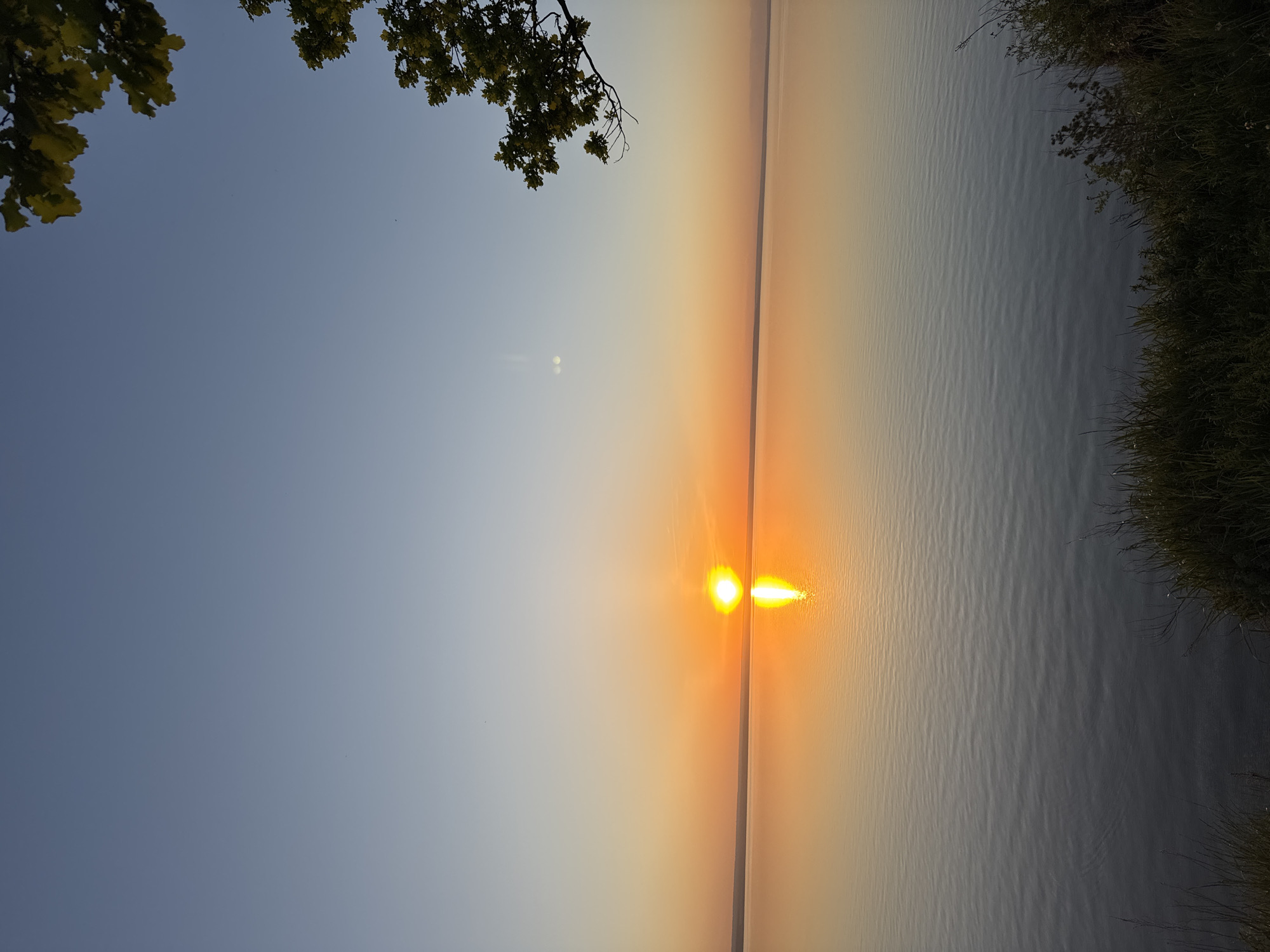 The image shows a landscape at sunset in Unknown, Unknown. The sun is setting over water, reflecting in a bright orange beam on the water's surface. The sky transitions from a light blue to an orange hue near the horizon. A tree branch with green leaves is in the upper-left corner, and vegetation is present on the right side.