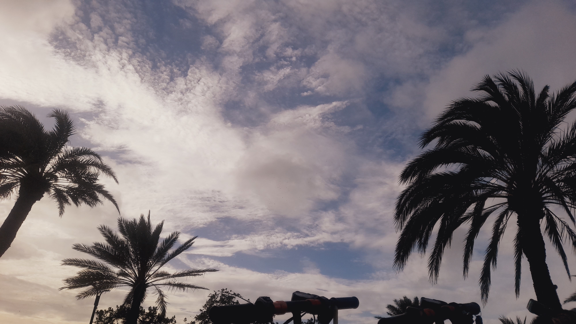 The image shows a silhouetted view of palm trees against a cloudy sky. In the foreground, partially visible at the bottom of the frame, are parts of what appear to be some sort of recreational equipment, possibly a swing set or playground structure, made of dark metal tubing with some orange accents. The sky is filled with scattered white and grey clouds, with patches of blue visible. The palm trees, with their fronds silhouetted, are dominant in the composition, with three large ones clearly visible and others hinted at. The scene is devoid of people or any direct signs of human activity beyond the equipment. The overall impression is one of a quiet, possibly late afternoon or early morning atmosphere, with the natural elements of the sky and trees taking precedence. The location is identified as Pedro González, Venezuela.