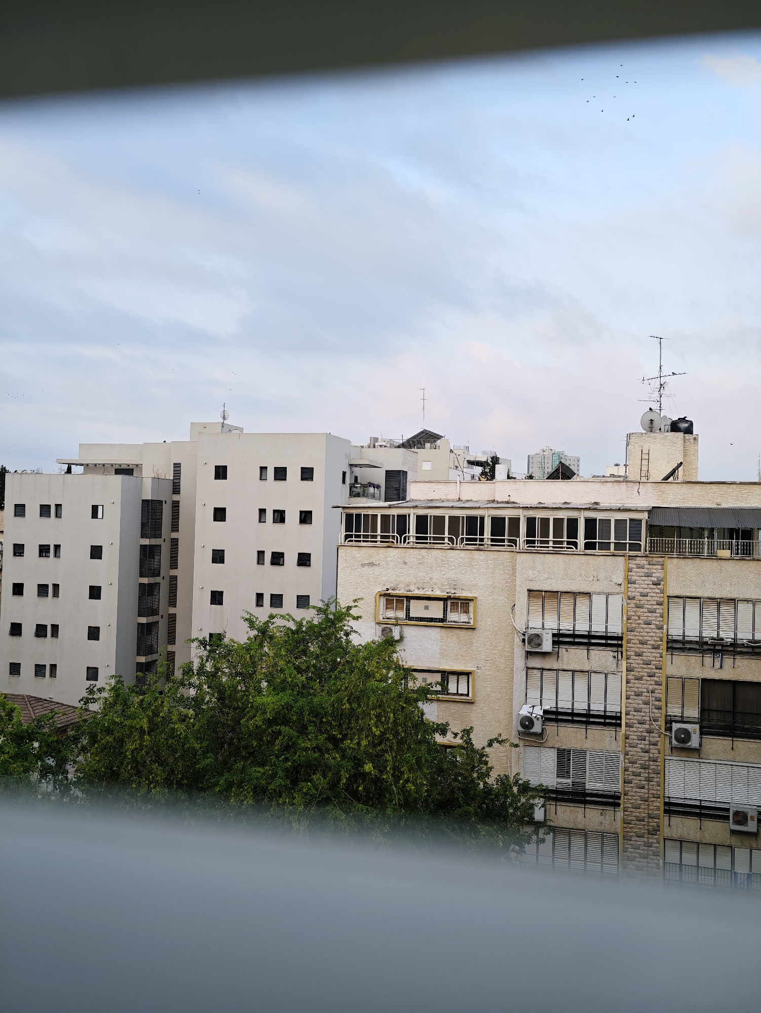 This image captures an urban scene in Petah Tikva, Israel, likely during twilight. The foreground is dominated by a blurred, out-of-focus grey surface, possibly a railing or balcony, obscuring the immediate bottom portion of the frame.
Rising behind this is a dense canopy of lush green trees, their foliage vibrant against the muted backdrop. Behind the trees, multiple buildings rise into the frame. The most prominent is a tall, white, multi-story residential building with numerous dark, square windows. Adjacent to it, and slightly to the right, is another building with a textured, light-colored facade, featuring a series of windows, some with open blinds, and several air conditioning units mounted on the exterior. Further to the right, another section of the building shows a different facade material, a patterned brickwork, and more windows with blinds. The rooftops of these buildings reveal various antennas, satellite dishes, and what appears to be a water tank, suggesting a densely populated urban environment.
The sky above is a pale blue with wispy clouds, and a flock of small birds is visible in the upper portion of the image, silhouetted against the sky. The overall impression is one of a residential cityscape with a touch of nature, captured at a time when daylight is fading.