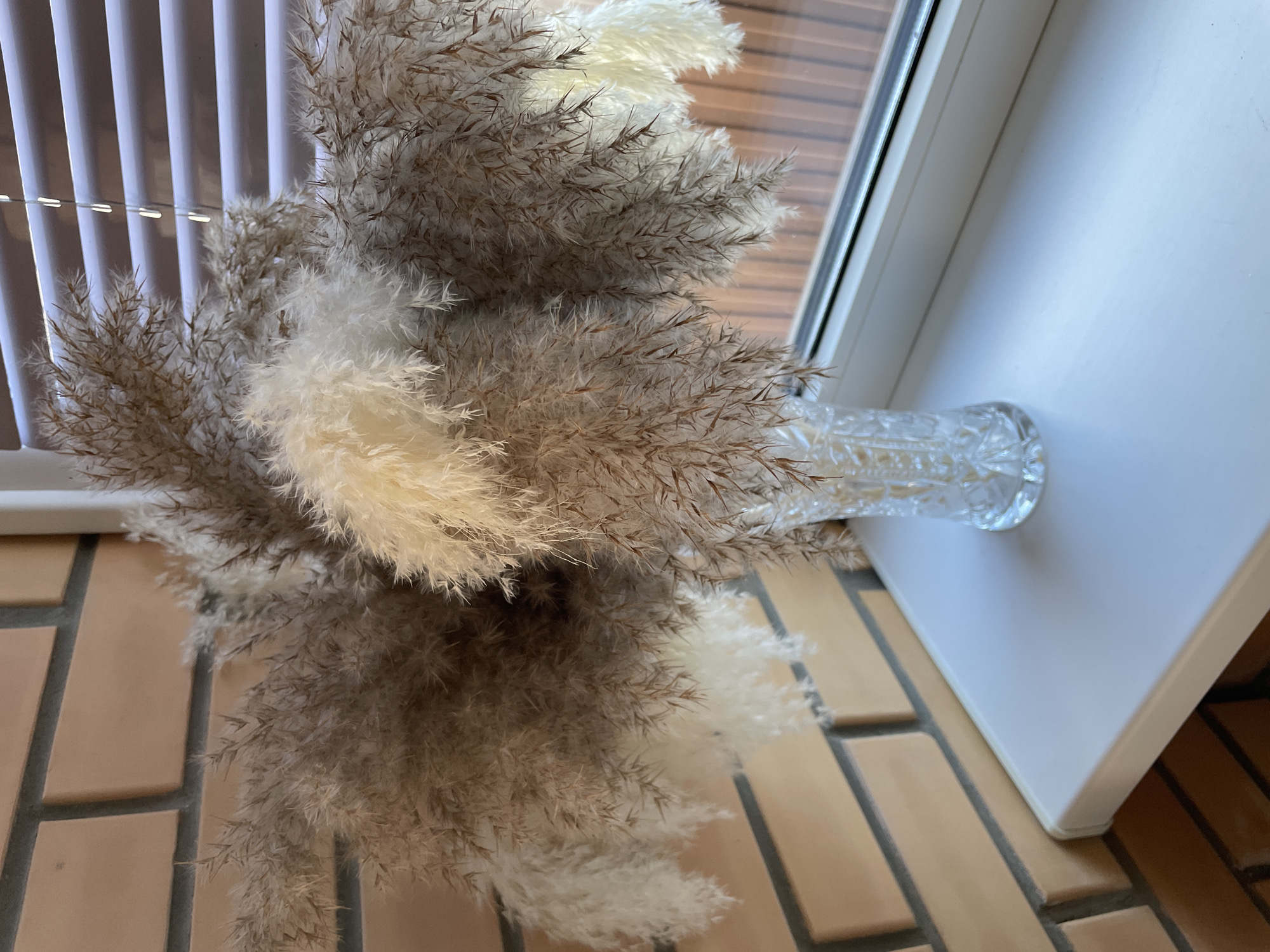 A high-angle shot depicts a clear, intricately patterned vase filled with dried flowers, likely pampas grass. The flowers exhibit a blend of white and brown hues. The vase rests on a white surface adjacent to a window frame, against a brick floor. Blinds are visible behind the flowers and window. The location is specified as Лесной Пейзаж Кп (шарапово), Russia.