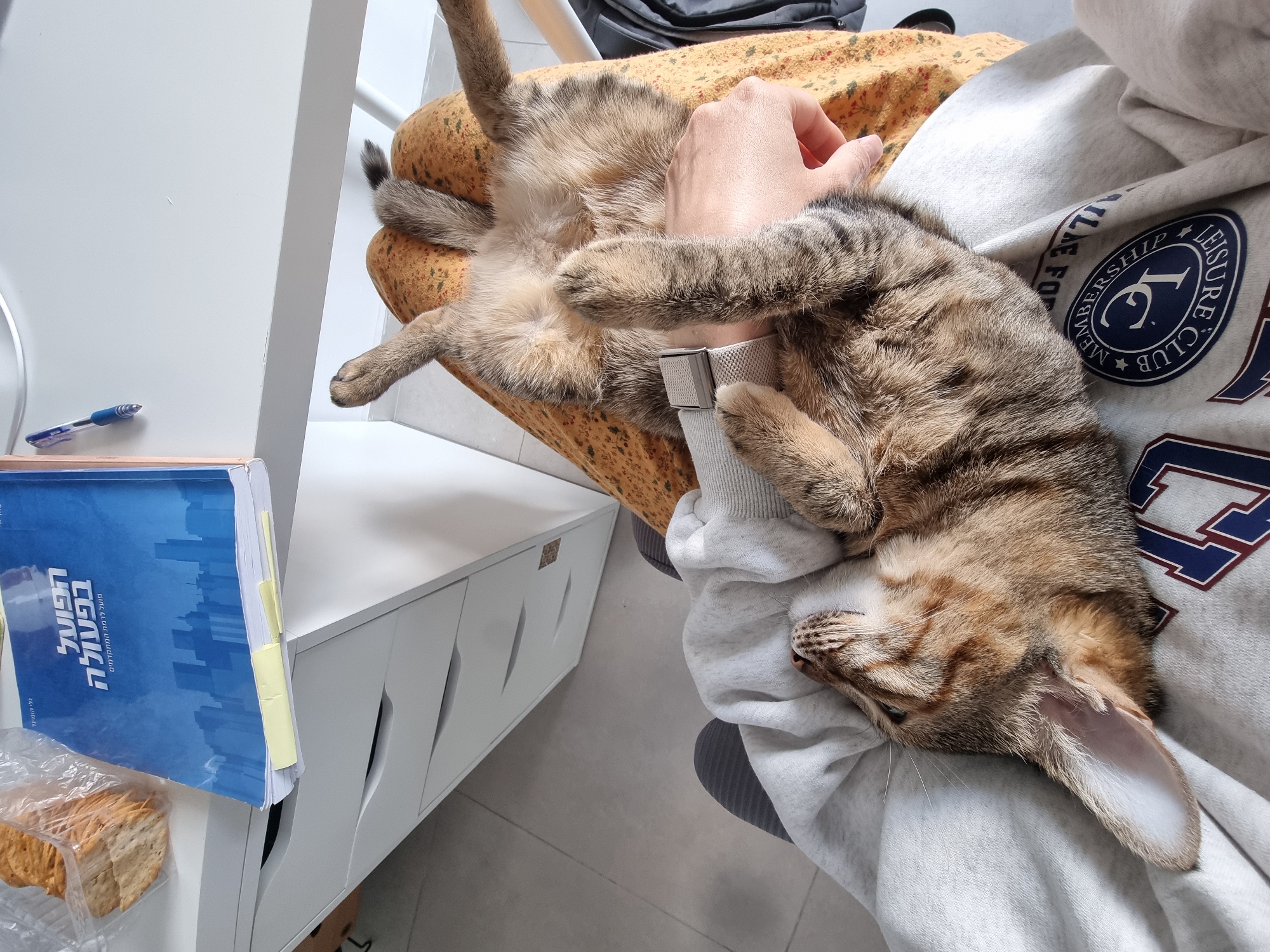 A tabby cat is lying on a person's lap. The person is wearing a gray sweatshirt with the words "LEISURE CLUB" on it. The cat is lying on its back with its head resting on the person's arm. The person's hand is resting on the cat's belly. The cat appears to be relaxed and content. The person is sitting on a chair with a patterned cushion. A white cabinet with a book on top is on the left side of the frame. There's a piece of bread in a plastic bag next to the book. The image was taken indoors, presumably in a home in Ramat Gan, Israel.