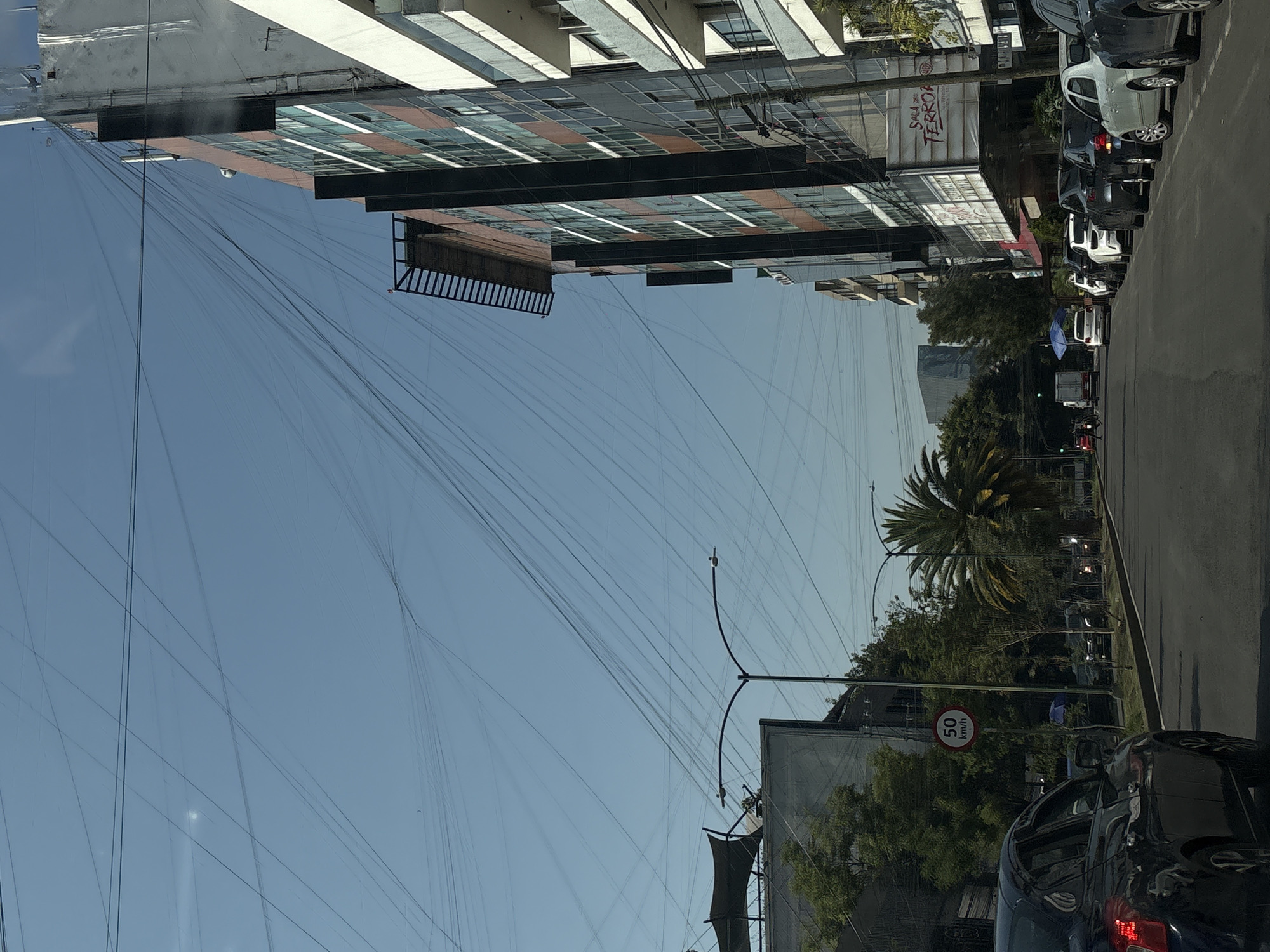 The image depicts a street scene in Mexico City, Mexico. A multi-story building with a modern design featuring rows of windows and a protruding structure is visible on the left side of the image. A large number of overhead power lines are crisscrossing the sky above the street. On the right side, a line of parked cars is visible along the curb. A street with a palm tree and other foliage is visible in the middle ground. A road sign indicating a speed limit of 50 km/h is present near the bottom of the image. In the foreground, part of a dark-colored car is visible. A building with a gray exterior is partially visible behind the foliage and the road sign.