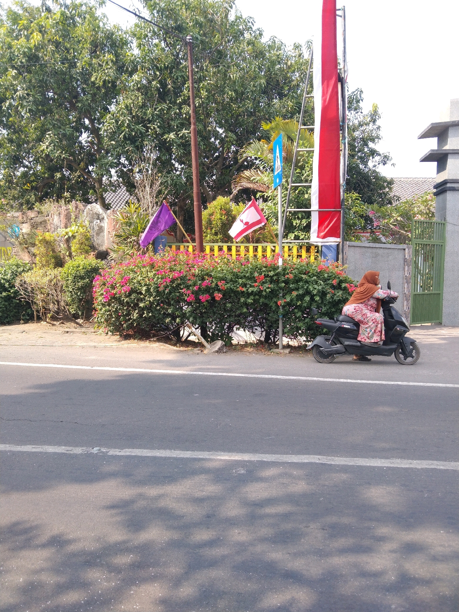 In the city of Growok, Indonesia, a woman wearing a brown hijab and a floral patterned dress rides a black electric scooter. She is positioned on the right side of the frame, moving to the left. The scooter has a visible brand name and a red taillight. The woman is looking forward, her hands on the handlebars. She is on a paved road with a white line marking the lane.
Behind the scooter, a vibrant green bush is adorned with numerous small pink flowers, suggesting a well-maintained garden. A yellow fence runs behind the bush. Further back, a large tree with dense green foliage dominates the left side of the image. A wooden pole stands tall, supporting a tall ladder that leans against a flagpole. A red and white Indonesian flag is partially unfurled on the flagpole, hanging vertically. To the left of the flagpole, a purple flag with a symbol is visible. A blue directional sign with a white symbol is also present.
In the background, to the right of the flagpole, a grey wall with a concrete structure and a green metal gate can be seen. The overall environment appears to be a residential or public area, possibly near a building or entrance. The lighting suggests it is daytime, with shadows from trees cast on the road.