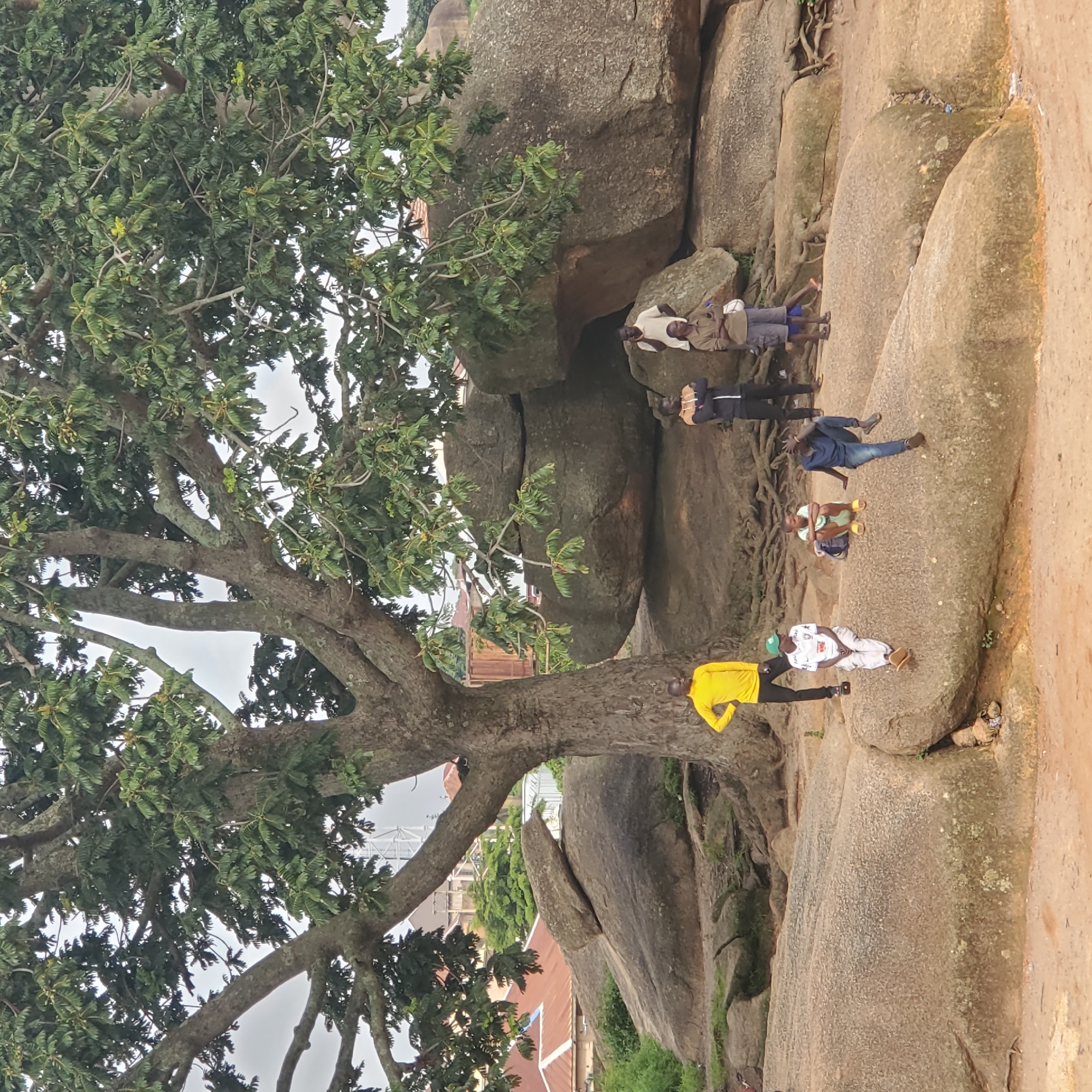 In an outdoor scene at the Shere Hills in Jos, Nigeria, a large, ancient tree with sprawling branches dominates the frame. Its trunk is thick and textured, and its canopy provides shade over a landscape dotted with massive, weathered granite boulders. Several individuals are present, some interacting and others observing.
To the left, a man in a bright yellow long-sleeved shirt and dark pants stands with his hands on his hips, facing left. In front of him, seated on a large boulder, is another person wearing a white shirt with blue accents and a green baseball cap, their legs crossed and feet resting on the ground. Next to them, a young person in a light green t-shirt and yellow shorts sits cross-legged, with a backpack behind them. To the right of these individuals, a young man in a dark blue shirt and jeans is seated on the edge of a boulder, with one leg bent and the other extended, his arm resting on his knee, and his head tilted down.
Further back, near the base of the large tree and amidst more boulders, a group of men are standing and conversing. One man in a white shirt and dark pants is holding a phone to his ear. Another man, wearing a brown shirt and grey shorts, stands with his arms crossed, facing left. A man in a dark jacket with lighter sleeves and dark pants stands with his arms crossed, facing forward. Another man, partially visible, wears a light-colored shirt and dark shorts.
The ground is a mix of dirt and sand, with exposed tree roots winding around the base of the tree and between the rocks. In the background, buildings with orange tiled roofs are visible, suggesting the proximity of a settlement to this natural landmark. The sky is overcast, contributing to the diffused light of the scene.