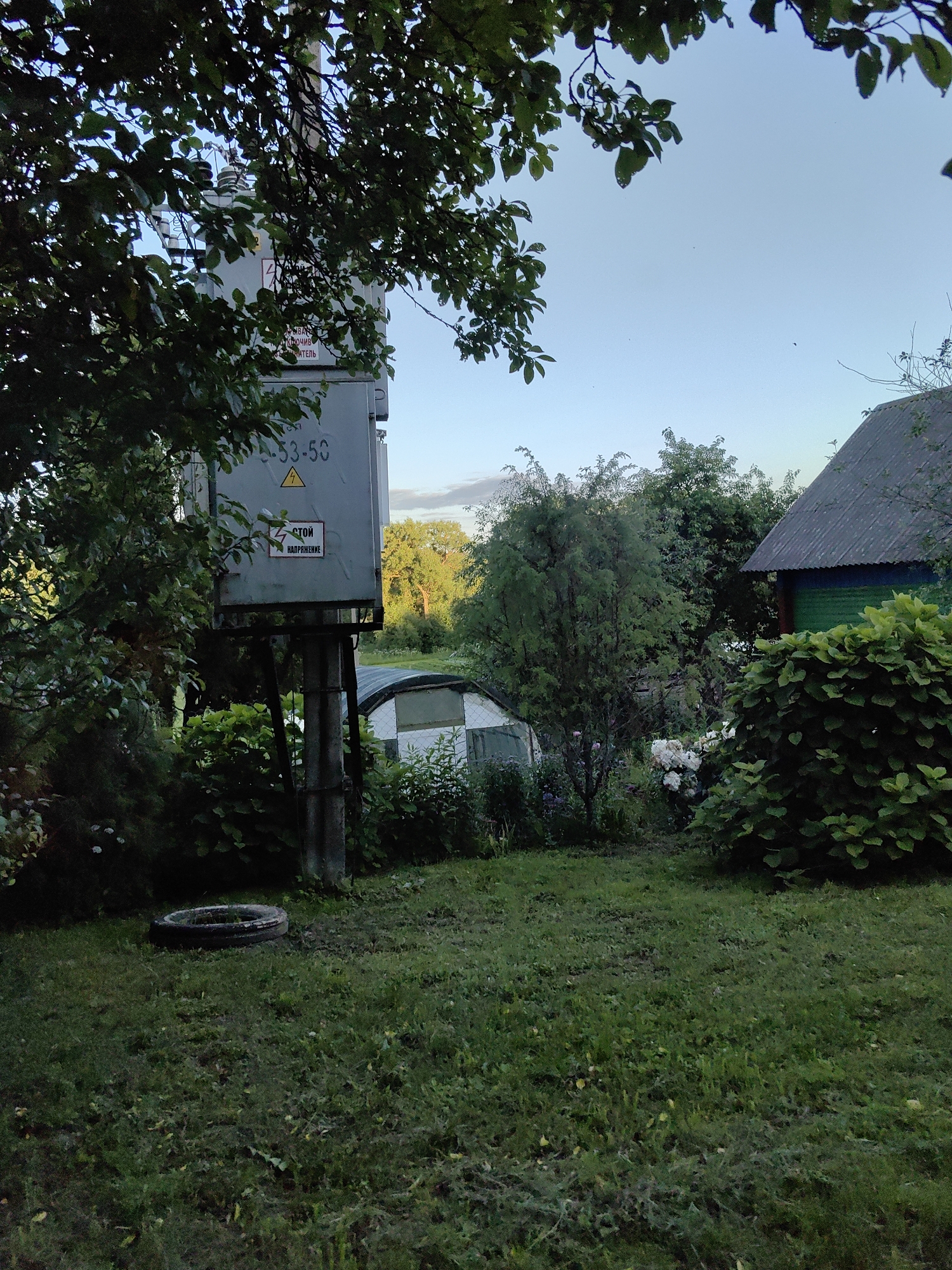 The image depicts an outdoor scene on a clear day, likely in a rural or suburban area given the presence of vegetation and a simple dwelling. In the foreground, a grassy area is visible with a discarded tire ring lying on it. A large metal electrical transformer box is mounted on a concrete pole to the left, partially obscured by the branches of a leafy tree. This transformer box has several warning labels. Behind the transformer, a greenhouse structure is partially visible. Further into the background, a portion of a house with a green wall and a dark, corrugated roof can be seen. Lush green bushes and trees are abundant throughout the scene, with some white flowers also present near the house. The overall impression is one of a natural, overgrown setting, possibly a backyard or a less maintained part of a property.