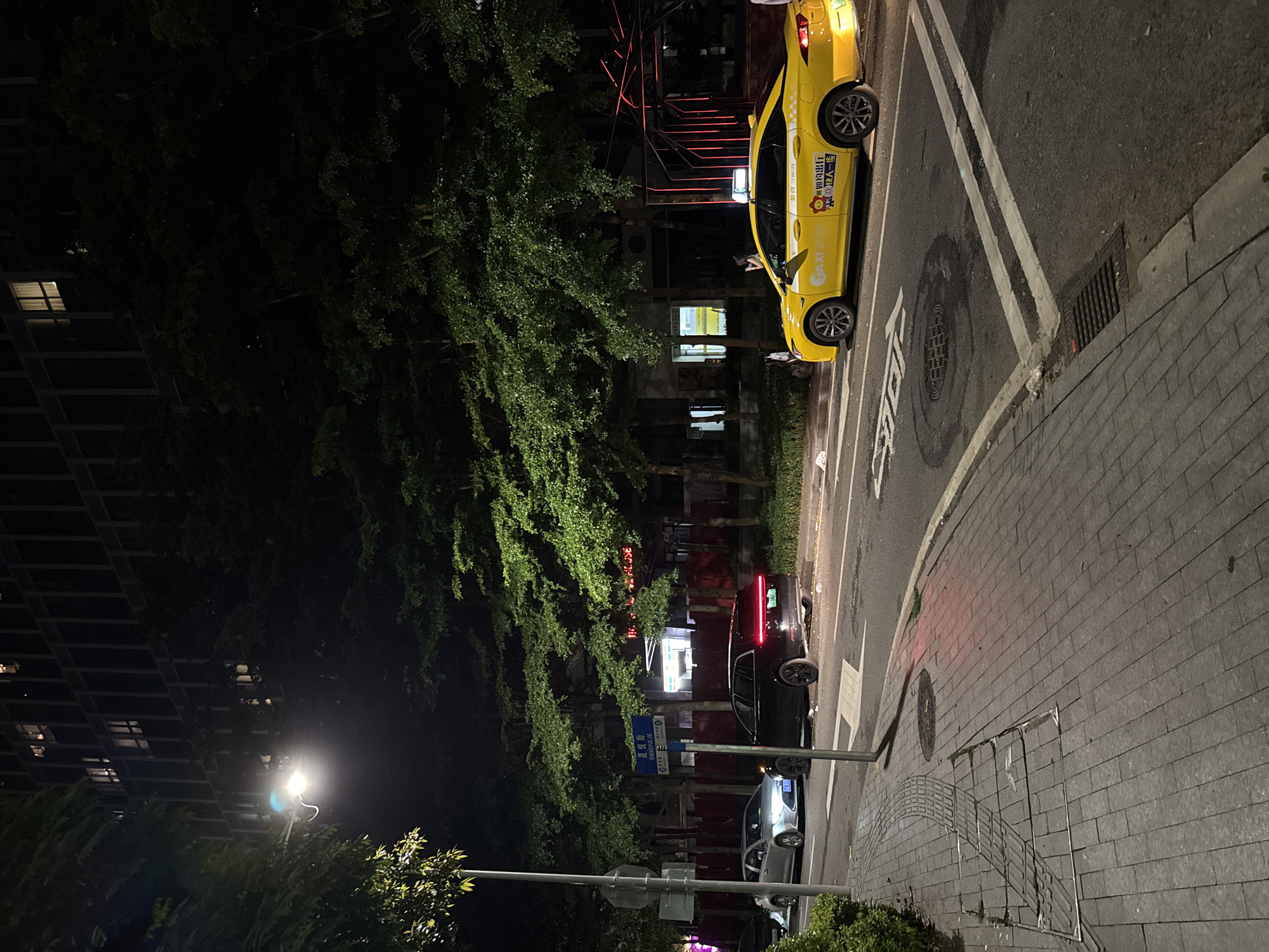 This is a nighttime, eye-level, full shot of a city street in Haizhu District, China. The scene is illuminated by streetlights and the lights from buildings and vehicles. The main subjects are a yellow taxi and a black car parked on the side of the road. The taxi is a prominent yellow sedan with Chinese characters and the word "TAXI" visible on its side. A person's arm can be seen out of the driver's side window of the taxi. The black car is a sleek sedan with its taillights illuminated. Several streetlights are visible, along with trees lining the sidewalk. The sidewalk is paved with grey bricks. A building with many windows is visible on the left side of the image. The road has white lane markings. The overall mood is one of urban activity at night. Text visible includes "TAXI", Chinese characters on the taxi, and a street sign reading "SHENXUE SE".