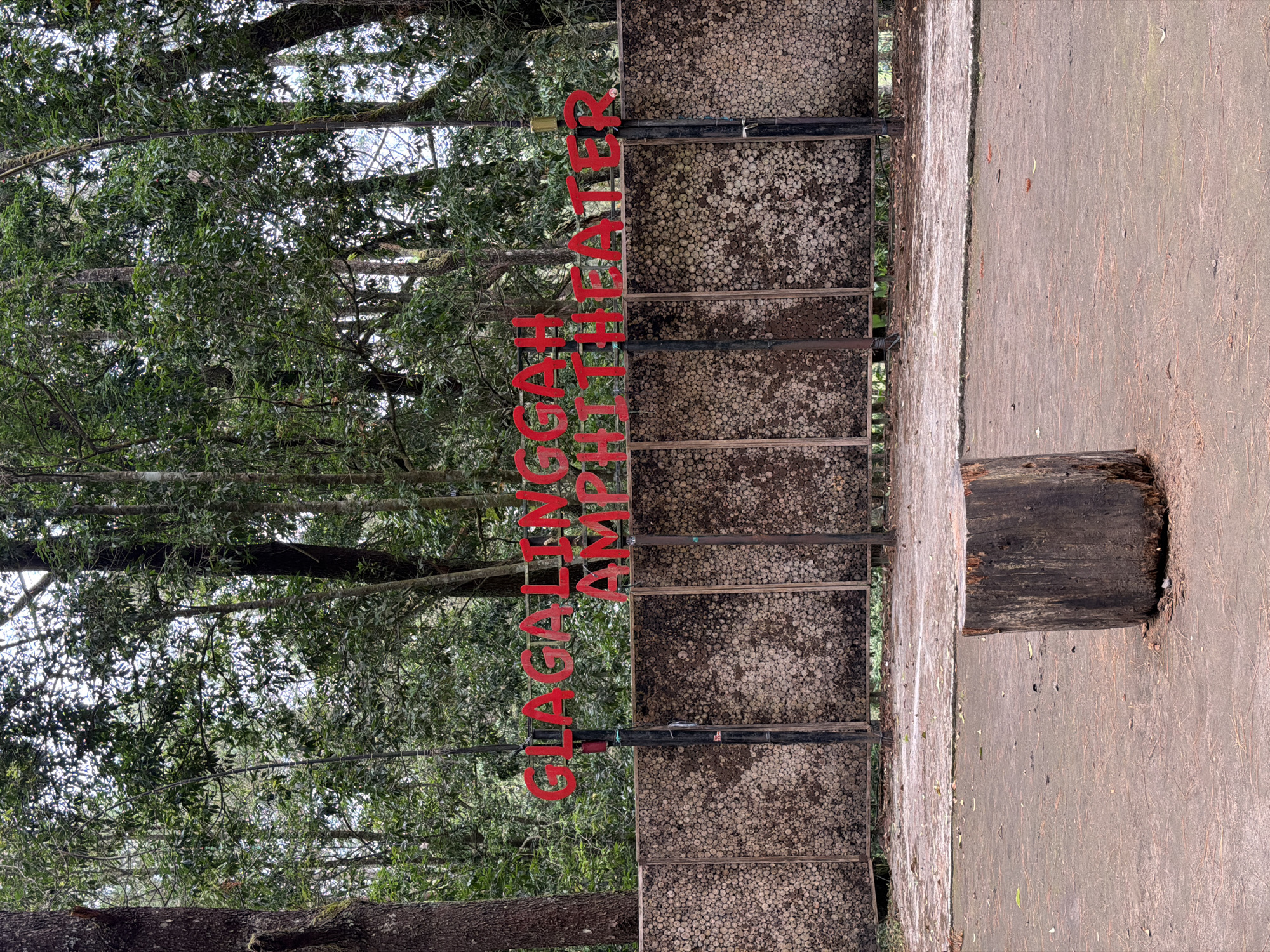 A low-angle shot shows a red sign that reads "GLAGALHINGGAH AMPHITHEATER" in front of a wall made of wooden circles in Kintamani, Indonesia. The wall is supported by black metal poles. Behind the wall and sign, a dense forest of tall trees with green leaves fills the background. In the foreground, a rough-hewn tree stump rests on a dirt ground with scattered pine needles. The overall lighting suggests an overcast day.