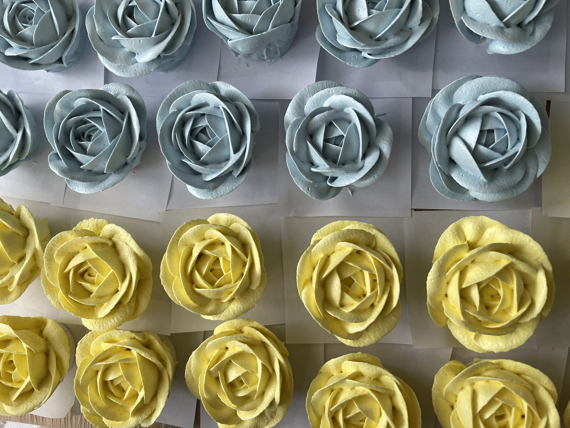 The image shows a top-down view of two rows of frosting roses. The top row consists of light blue roses, and the bottom row features yellow roses. Each rose is piped to resemble a blooming flower with multiple petals. The roses are arranged in neat rows on what appears to be a flat surface, possibly a baking sheet or table, covered with white paper squares or liners. There are six roses in the top row and seven in the bottom row, though one on the far right of the bottom row is partially cropped. The lighting suggests an indoor setting, possibly during the daytime given the brightness. No people, text, or specific location cues are visible. The focus is entirely on the handcrafted dessert decorations.