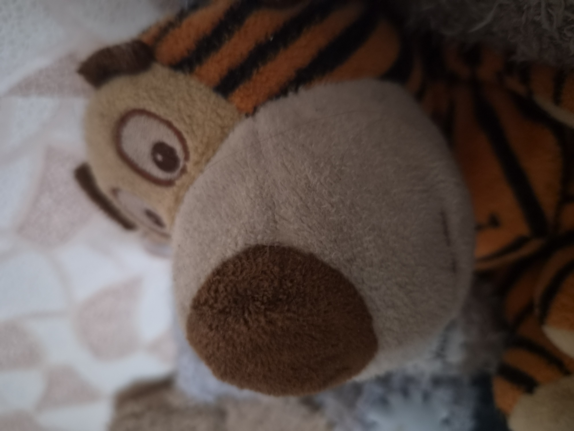 The image is a close-up, slightly blurred photograph of a stuffed toy tiger. The tiger has a large, fuzzy, light-colored snout with a dark brown, circular nose at its center. Its eye, visible on the upper right, is large, round, and brown with a darker pupil and an outer ring. The tiger's head and body are adorned with characteristic orange and black stripes. The background is out of focus and appears to be a soft, textured surface, possibly a blanket or bedding, with a subtle diamond pattern in muted colors. The lighting suggests an indoor setting, likely a domestic environment. There is no discernible indication of the city of Zhodzina, Belarus, within the image itself.