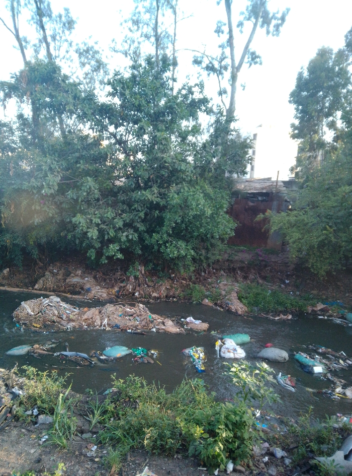 A daytime photograph depicts a heavily polluted waterway, likely a river or canal, in an urban or peri-urban area of Nairobi, Kenya. The water is dark and opaque, extensively covered with various forms of solid waste, including plastic bags, bottles, fabric, and general refuse, which are floating and forming visible accumulations, particularly one large mass in the center-left. Several items appear contained within green and white sacks floating downstream. The immediate foreground shows a dirt bank with sparse green vegetation and scattered debris. The far bank is steep, densely covered with green trees and bushes, beneath which significant quantities of refuse are accumulated along the waterline. In the background, partially visible through the foliage on the right, a multi-story light-colored building rises above a lower structure constructed from corrugated metal sheets and other materials. The sky is bright and appears hazy or overcast through the tree canopy. No individuals are present in the scene.