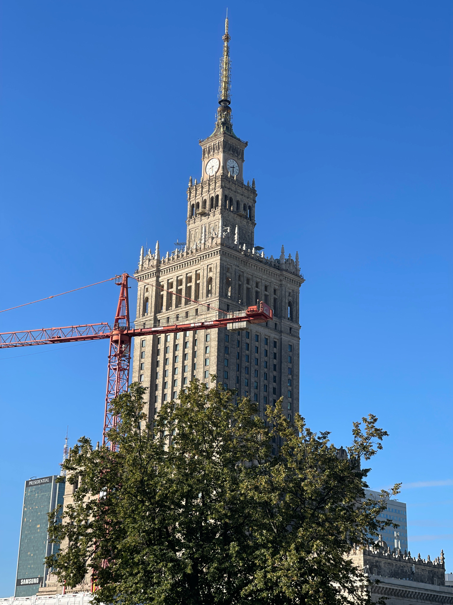 The image shows a low-angle view of the Palace of Culture and Science in Warsaw, Poland, on a clear, bright day. The imposing Stalinist-era skyscraper dominates the frame, its clock tower visible against a deep blue sky. A red construction crane is positioned in front of the building, its arm extending horizontally across the mid-left portion of the image. In the foreground, a large, leafy green tree partially obscures the lower sections of the Palace of Culture and Science and some adjacent modern buildings. To the left of the Palace of Culture and Science, a taller, more modern skyscraper with the "PRESIDENTIAL" logo is visible. Below that, another building shows a "SAMSUNG" logo. The overall scene suggests an active urban environment with both historical and contemporary architecture present, possibly indicating ongoing construction or renovation work. There are no people visible in the image.