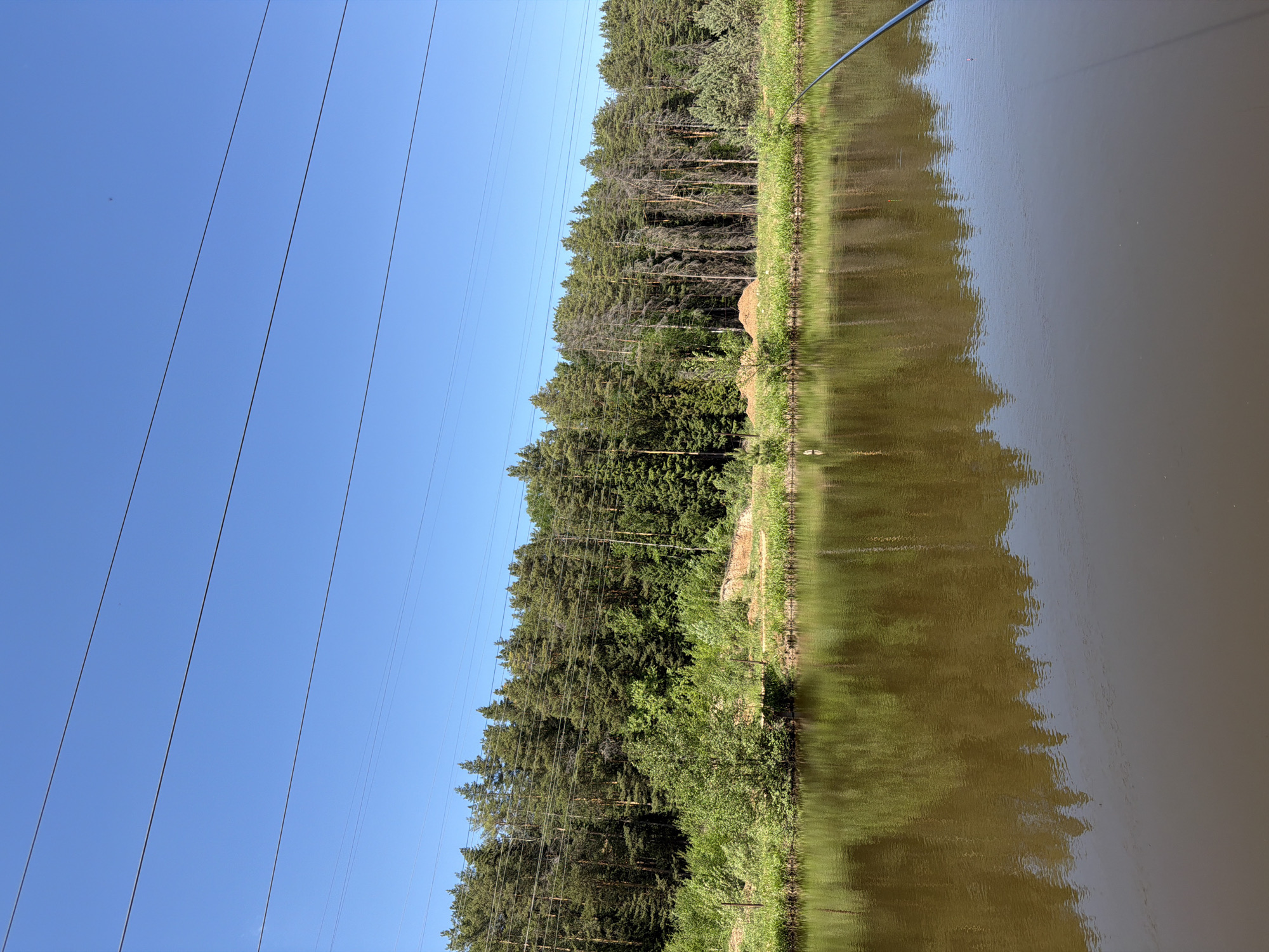 The image depicts a landscape with a clear blue sky and several power lines running diagonally across the upper left corner. A dense forest line extends along the center of the frame, bordering a body of water on the right. The water reflects the trees and sky, creating a mirrored effect. A fishing rod is visible at the edge of the water. The location is Прикамский, Russia.