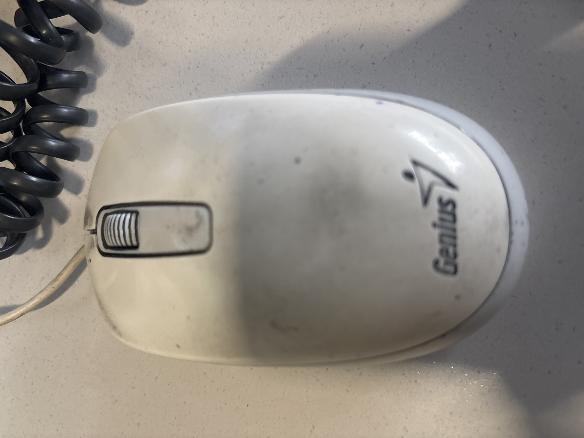 A white computer mouse with a coiled black cord is situated on a speckled light-colored surface. The mouse has a scroll wheel at the top and a black logo that appears to say "Genius" with a stylized figure. The surface shows some signs of dust and minor marks. The coiled cord is positioned to the upper right of the mouse, with some of it extending out of frame. The image does not provide any information that would indicate a location in Kryvyi Rih, Ukraine.