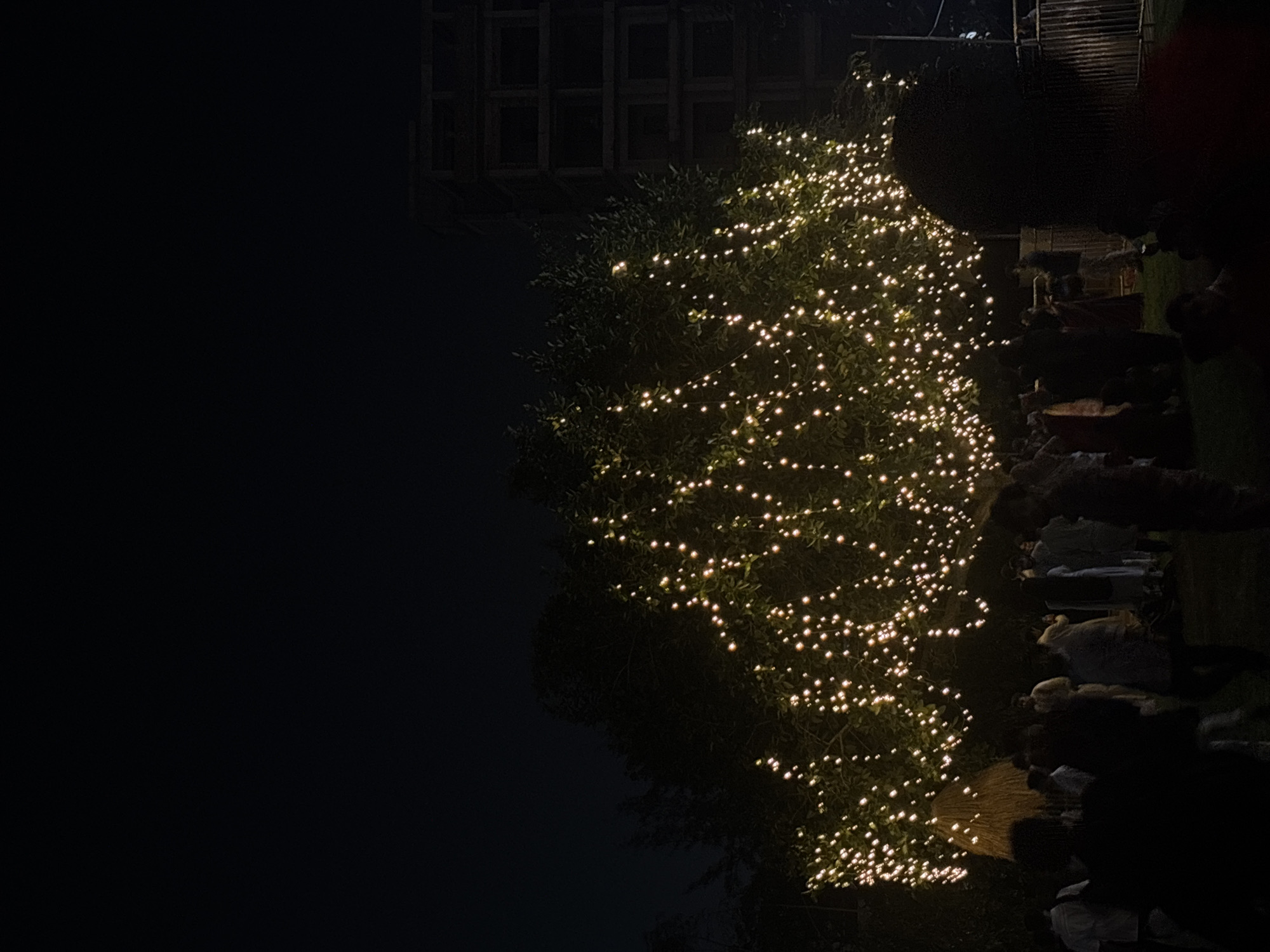 At night, a tree adorned with strings of lights stands in Dhaka, Bangladesh. The tree is densely covered in leaves, barely visible beneath the multitude of small, warm-toned lights. To the left of the tree is a dark, unlit area with a shadowy structure in the background, potentially a building with multiple windows. To the right, blurred shapes suggest the presence of people or objects, possibly seated or arranged along a walkway. The overall environment is dimly lit.