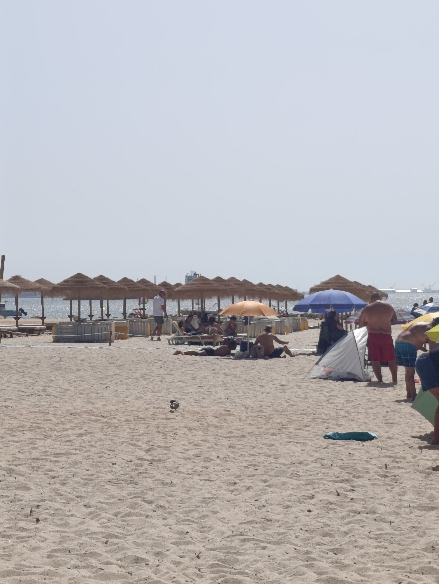The image shows a crowded beach in Setúbal, Portugal. People are sunbathing on loungers under straw umbrellas, and some are walking on the sandy shore. In the background, the ocean is visible with boats in the distance. The scene is lively, with a sense of summer relaxation.