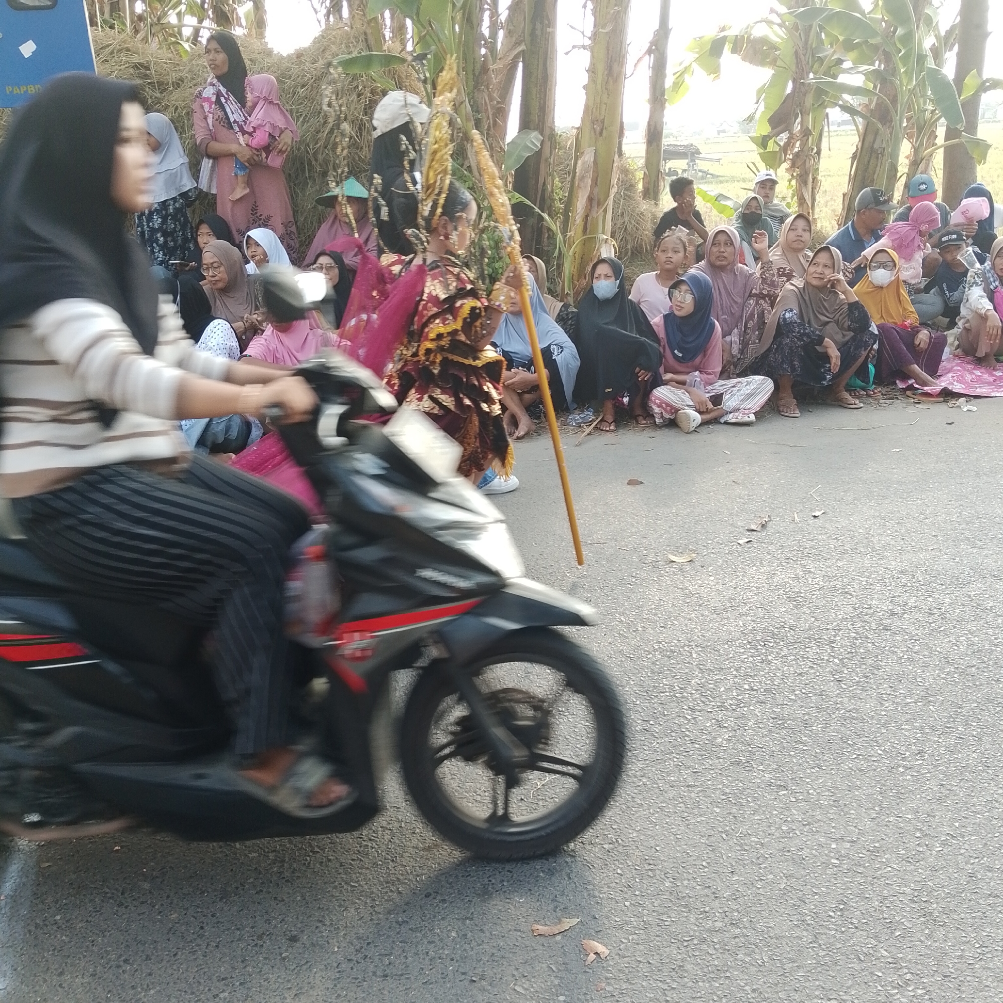 The image depicts an outdoor scene, likely in Palang, Indonesia, with a group of people gathered on the side of a road. In the foreground, a person is riding a motorcycle, captured in motion blur, obscuring their full features. The rider is wearing a striped shirt and dark, striped pants. The motorcycle is black with red and white accents.
Behind the motorcycle, a group of individuals, predominantly women and children, are seated on the ground. They are wearing a variety of clothing, many in traditional Islamic attire, including hijabs. Some of the women are holding infants. The people are facing towards something off-camera to the right, suggesting they are watching an event or procession.
The environment consists of a paved road and a backdrop of tall, dry grass and banana trees, indicative of a rural or semi-rural setting. The lighting suggests it is daytime, possibly late afternoon due to the warm tones and shadows. A blue sign with some text is partially visible on the left side of the image. The overall atmosphere appears to be one of communal gathering and observation.