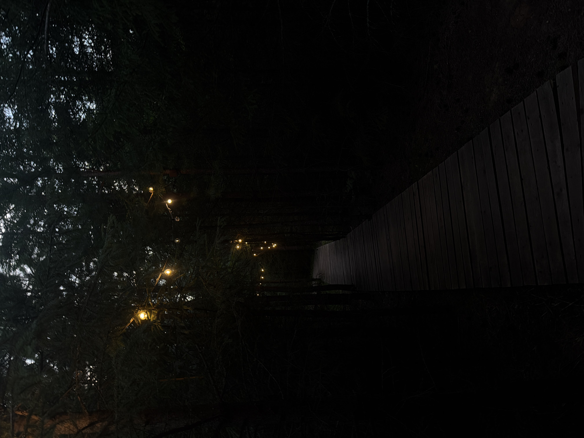 A boardwalk winds through a dark forest, illuminated by a string of warm fairy lights draped between trees. The wooden planks of the boardwalk are worn and dark, suggesting age and use. Tall, dense trees with dark green needles rise on either side of the path, their branches creating a canopy overhead that obscures most of the sky. The overall scene is one of a dimly lit, natural setting, likely in the evening or at night, with the lights providing a touch of whimsical ambiance to the otherwise shadowed environment. The location is the city of Kuliki, Russia.