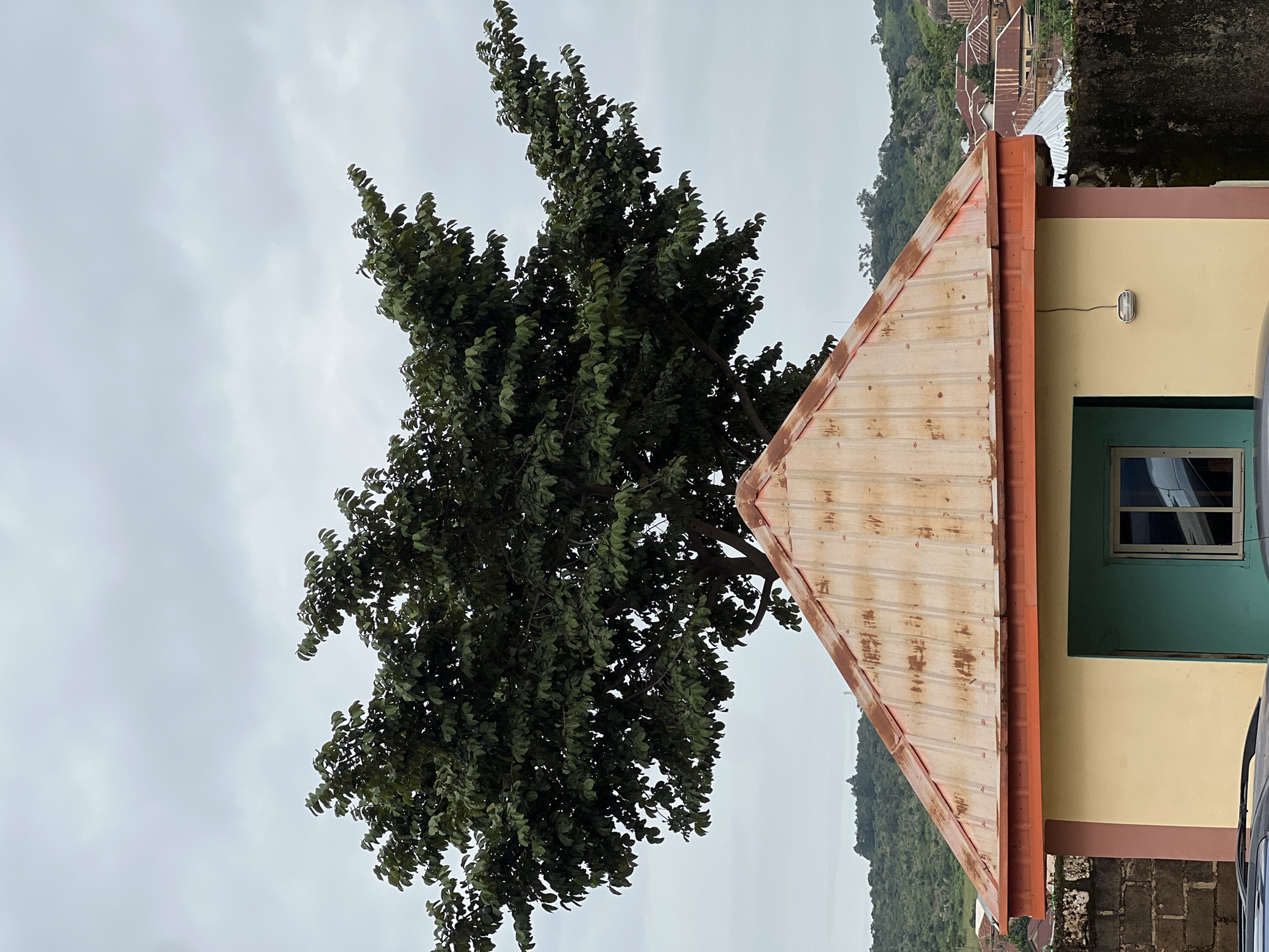 The image depicts a street scene in Jos, Nigeria, on an overcast day. In the foreground, a small, single-story building with a pale yellow facade and a peaked, rust-colored metal roof is visible. A teal-colored window with reflective glass is set into the front of the building. The roof is edged with an orange trim. A large tree with dense, dark green foliage dominates the upper half of the frame, its branches extending over the building. In the background, rolling hills covered in vegetation and scattered residential buildings with similar metal roofs can be seen. A stone wall, partially covered in moss, runs along the left side of the building, and a dark, rough-textured wall runs along the right. The overall impression is of a modest residential area under a cloudy sky.