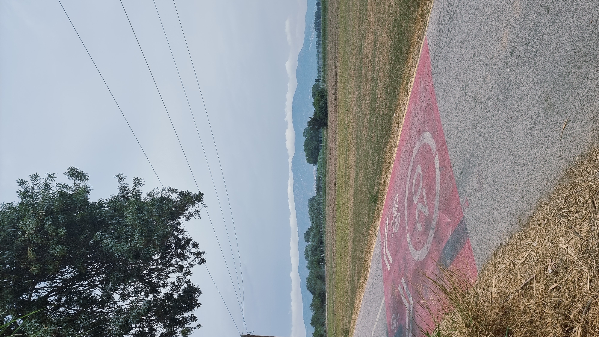 The image depicts a rural scene in Castelló d'Empúries, Spain. In the foreground, a paved asphalt road runs diagonally from the bottom left to the top right of the frame. The road surface is a mix of grey asphalt and a red painted section that features white markings indicating a bicycle lane. Specifically, a bicycle symbol is visible, along with a circular sign that appears to indicate a speed limit, possibly 20. Dry, light brown grass and straw litter the left edge of the road.
Beyond the road, a large, cultivated field stretches into the middle ground, appearing somewhat dry and dormant. The field is bordered by a line of trees and vegetation. In the distance, a range of mountains forms the horizon, partially obscured by a cloudy sky. Power lines are visible in the upper portion of the image, stretching horizontally across the frame. A large tree branch with green leaves extends from the upper left corner, partially obscuring the sky and power lines. The overall impression is one of a quiet, somewhat overcast rural landscape.