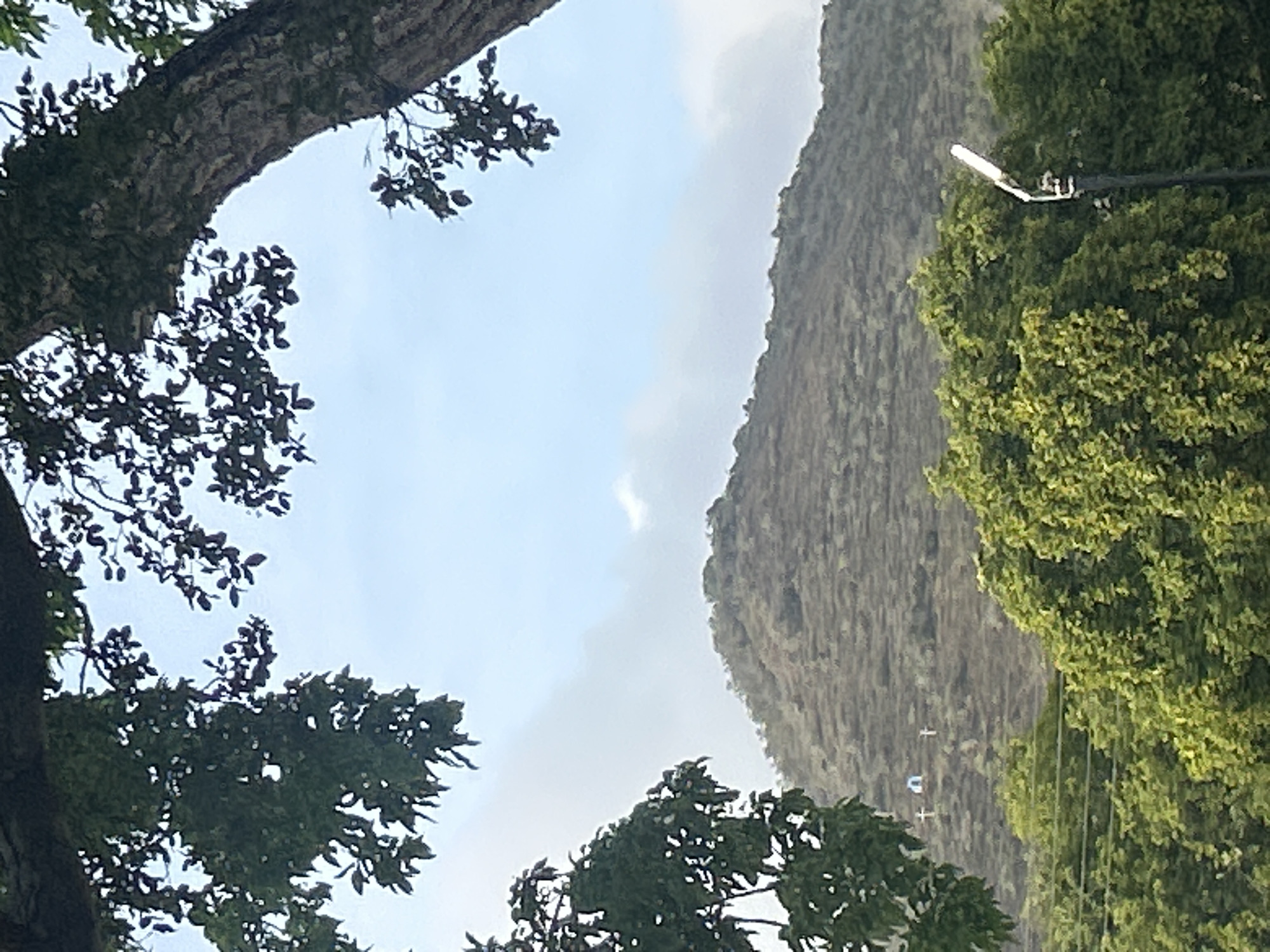 In Santa Ana, Venezuela, a mountainous landscape is depicted with a lush green foreground of trees. The middle ground features a terraced hillside, indicating agricultural activity or erosion control, with two white crosses visible on its slope. The background is dominated by the hazy contours of a mountain under a sky with light clouds. The scene is framed by the dark branches of trees in the upper portion of the image and a lamp post with a modern fixture in the lower right corner.
