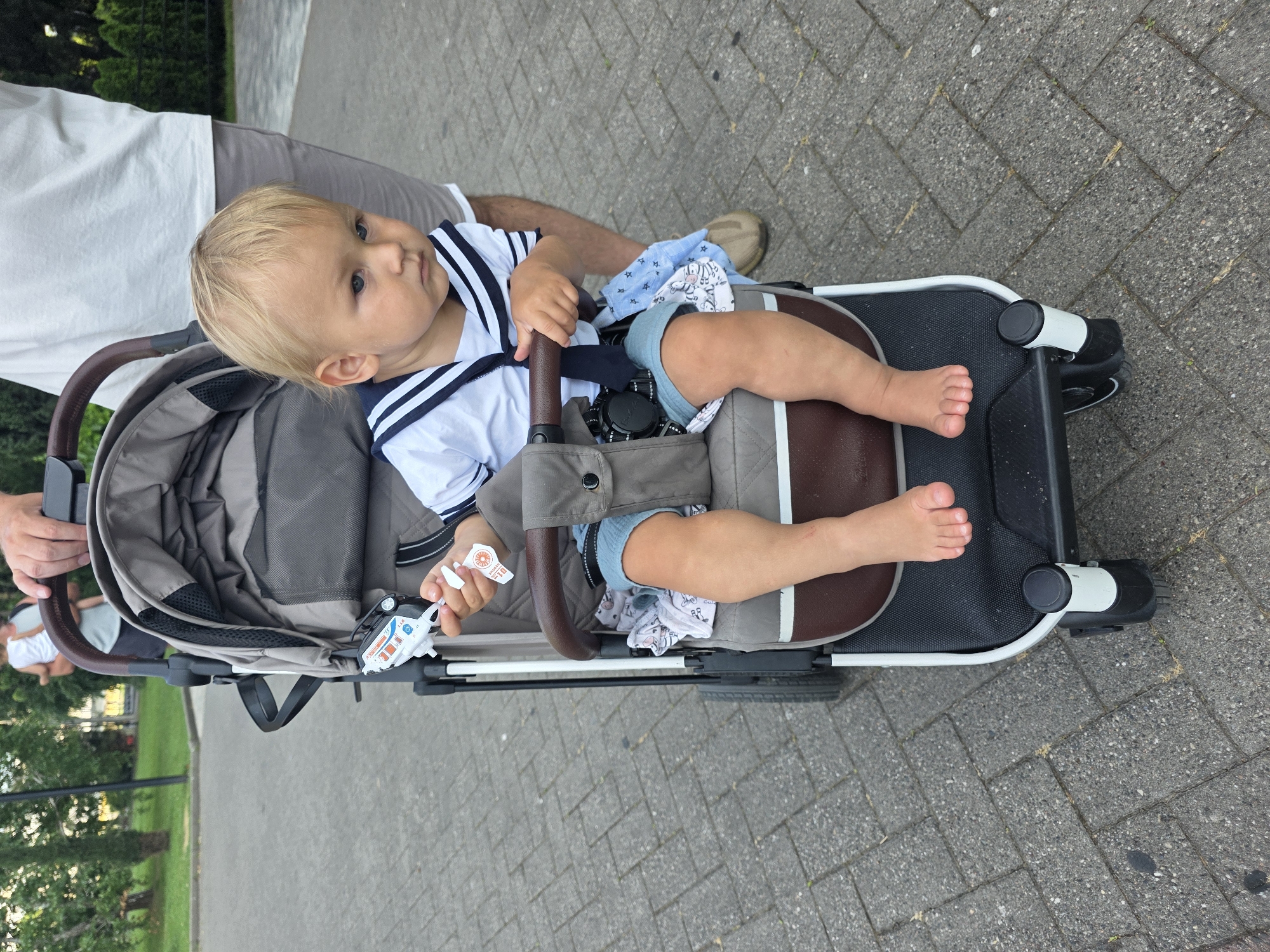 In Sochi, Russia, a blond-haired toddler with blue eyes is seated in a stroller, wearing a sailor-style shirt and blue shorts. The child is holding a small toy airplane and a white sticker. The stroller is gray and brown with a black seat and white accents on the wheels. A person, partially visible in the background, is pushing the stroller. The ground is paved with gray bricks. Trees and greenery are visible in the background, suggesting an outdoor park or public space.