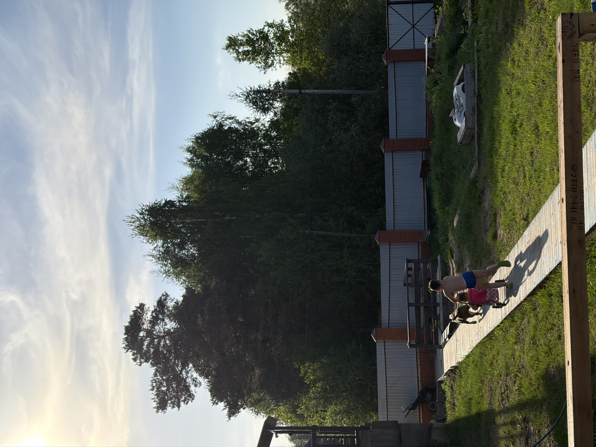 The image, taken in daylight, depicts a scene in what appears to be a backyard or garden. In the foreground, a man wearing blue swimming trunks and green shoes is walking along a wooden path. He is accompanied by a child wearing a pink dress and a dog. The path leads towards a fence made of metal panels and brick pillars. Behind the fence, dense trees and greenery are visible. The sky above is light blue with wispy white clouds. The location is the city of Chaikovsky, Russia. The composition of the image is rotated, with the horizon line running vertically.