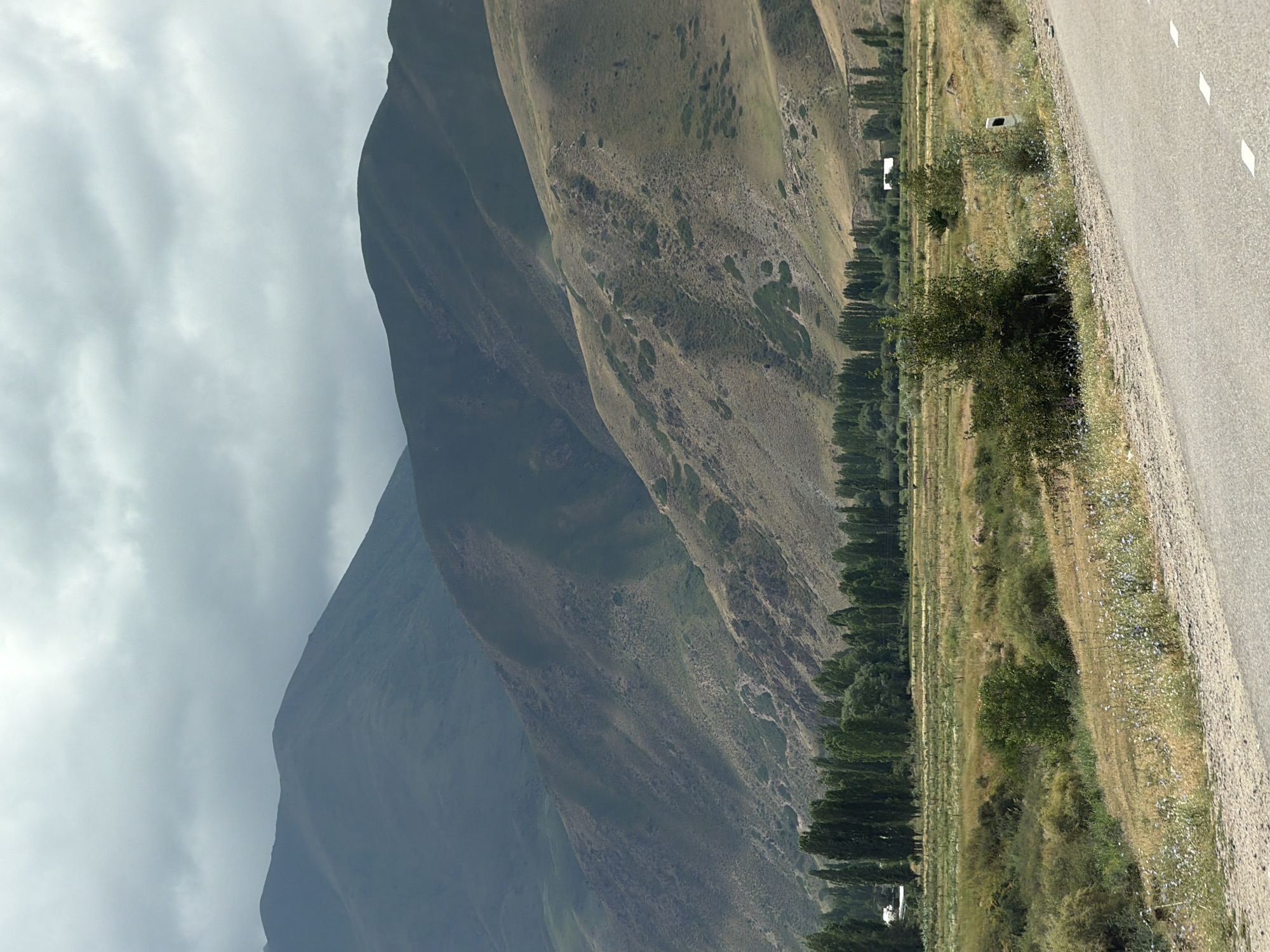 A long shot captures a vast, mountainous landscape under a cloudy sky. In the foreground, a paved road with white dashed lines curves into the scene from the right. The road is bordered by dry, grassy terrain dotted with wildflowers and a few scattered bushes. Beyond this, a line of tall, slender trees runs horizontally across the mid-ground, separating the foreground from the rolling, arid foothills. These foothills are covered in dry grasses and scattered scrub vegetation, with shadows cast by the clouds creating a textured appearance. In the distance, larger, darker mountains rise steeply, their slopes appearing smooth and vegetated. The sky is overcast with thick, grey clouds, obscuring any direct sunlight. The overall scene depicts a rural, natural environment.