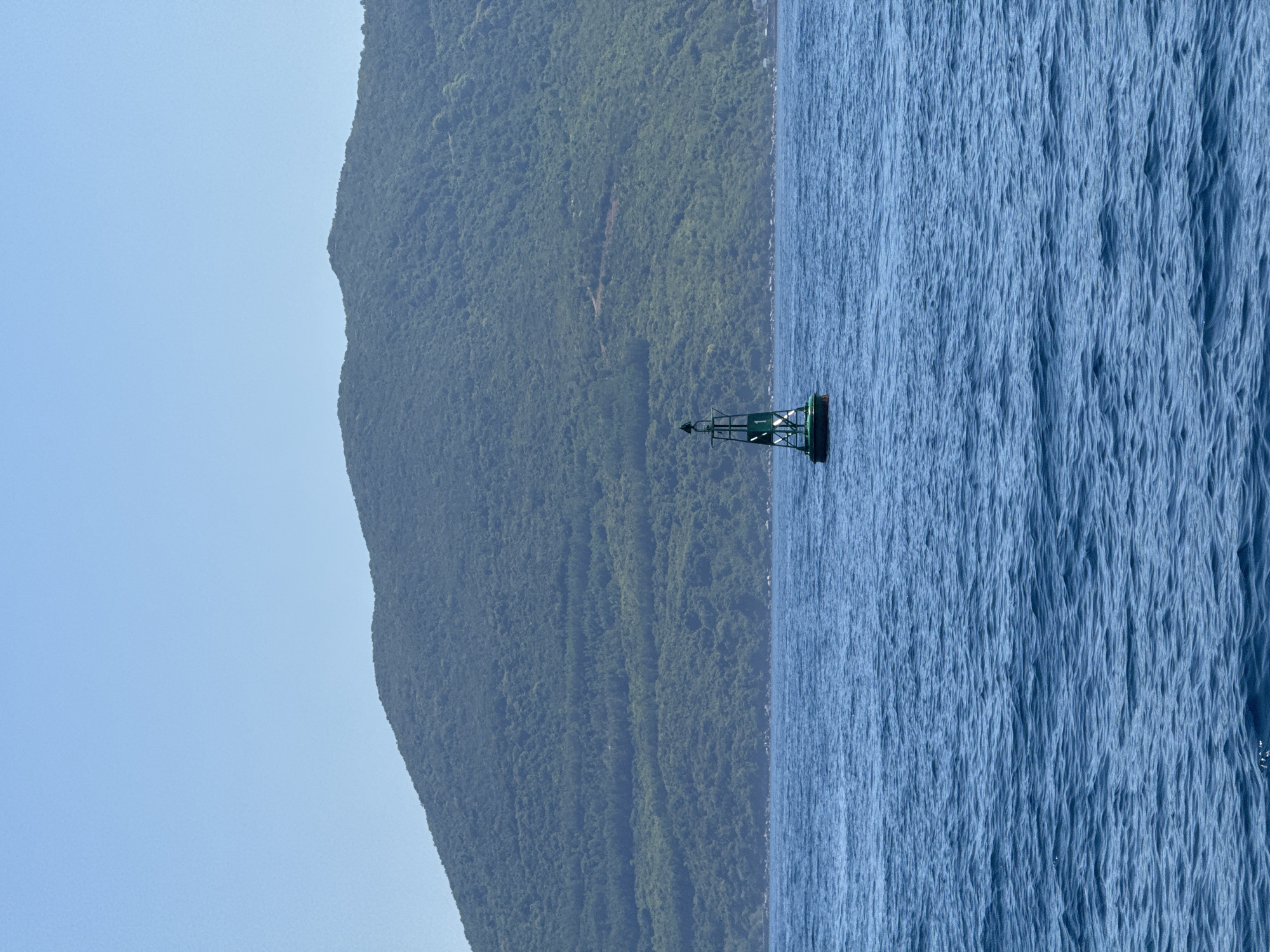 A green and white buoy with a white "1" marking floats in the blue ocean. Behind the buoy, a lush green, tree-covered mountain rises, its slopes creating undulating textures under a clear, pale blue sky. The water is a deep blue with gentle ripples. The scene suggests a coastal location in a region with mountainous terrain and clear weather. While the exact location in Nha Trang is not discernible from the image alone, it is consistent with the coastal landscape of the city, which features a prominent bay surrounded by mountains.
