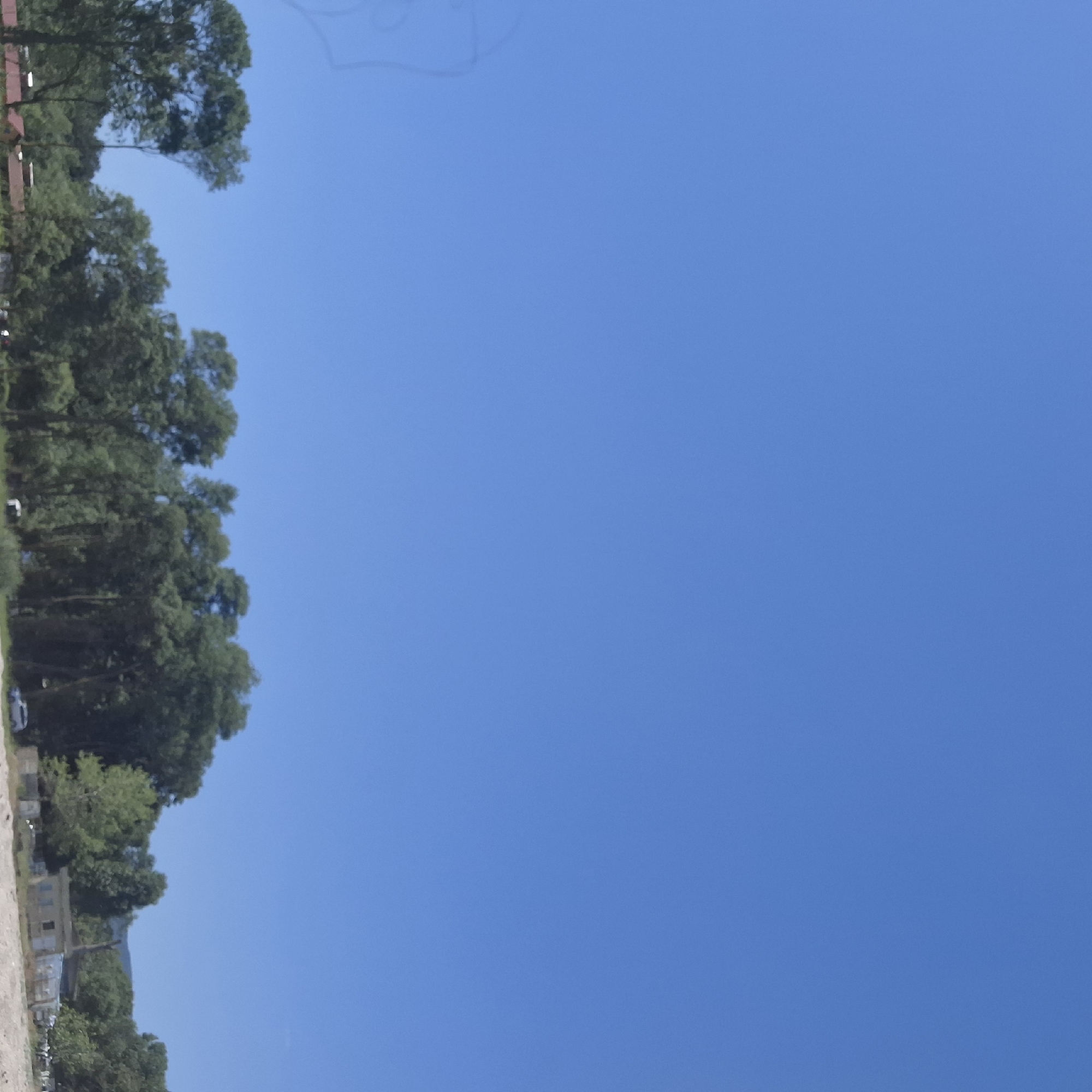 A wide shot captures a clear, bright blue sky dominating the upper two-thirds of the frame. The lower third of the image is filled with a dense line of various trees, primarily deciduous, with some coniferous species interspersed. Below the trees, a few structures are visible. On the left, a portion of a building with a red roof is partially obscured by foliage. Further to the right, a light-colored, low-lying building with visible windows is present. Scattered among the trees and buildings are a few vehicles. A white car is parked on the left side, and a silver SUV is visible on the right. The foreground appears to be a sandy or gravelly area. The scene depicts a rural or semi-rural environment with a mix of natural and built elements under a cloudless sky.
