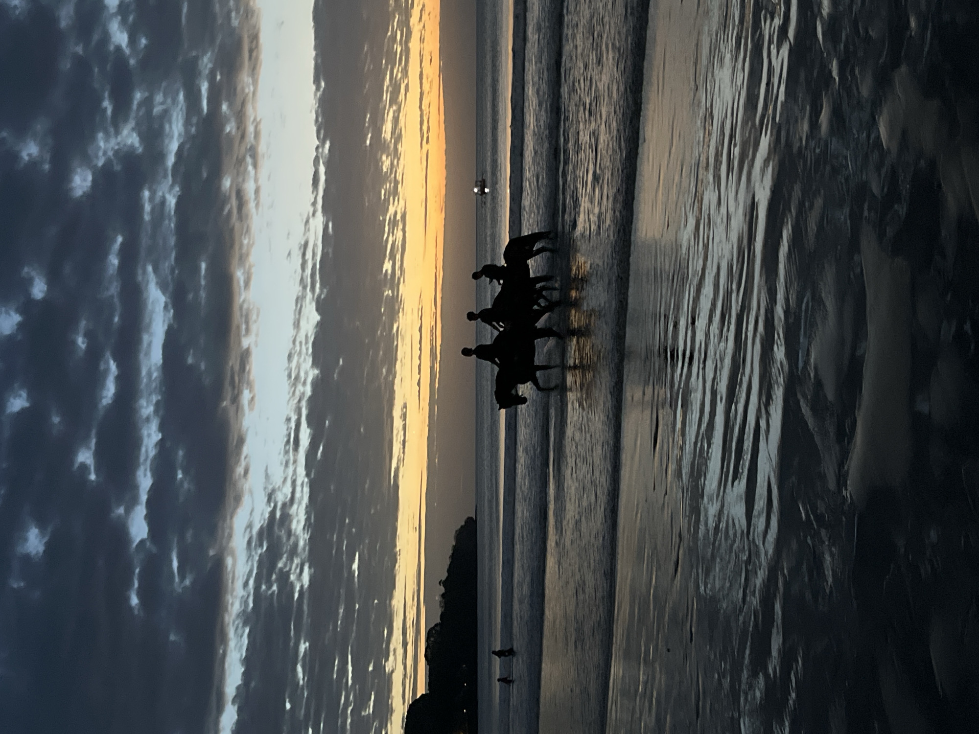 The image depicts a serene beach scene at dusk in Kuta Selatan, Indonesia, with the sky ablaze with the warm hues of sunset. In the foreground, the shallow water reflects the dramatic, cloud-streaked sky and the silhouettes of two horses with riders. The horses are positioned in the water, their forms dark against the shimmering surface, suggesting a leisurely ride along the shore. Further out, two figures, likely people, are standing in the water, appearing as small dark shapes against the lighter sea. In the distance, a dimly lit boat with a light can be seen on the horizon, adding to the tranquil atmosphere. The shoreline is visible on the left, marked by a dark, tree-covered landmass, and the waves gently lap at the sandy beach, creating a sense of calm and natural beauty. The overall impression is one of peaceful coexistence between humans, animals, and the natural elements as day transitions into night.