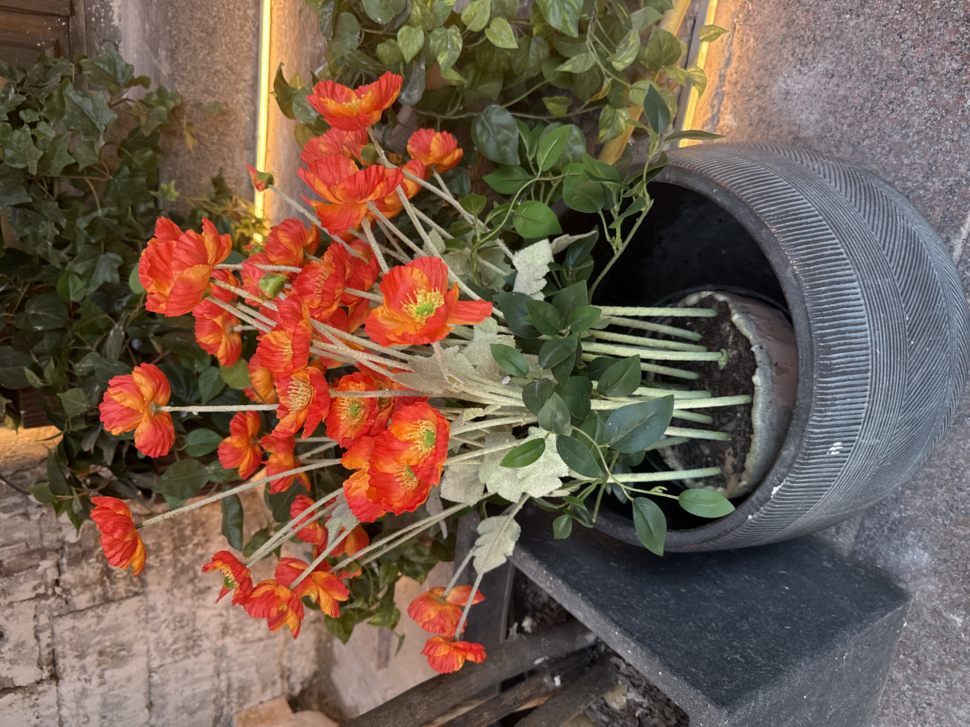 A floral arrangement of bright orange and red flowers with green centers is in a dark gray, textured pot. The flowers are clustered together on thin, light-colored stems. Behind the flowers, green ivy hangs from above. To the left of the pot is a dark gray, rectangular planter. The background consists of a textured, light-colored brick wall and a warm, yellow-orange light source. The scene appears to be outdoors, on a textured gray and reddish-brown ground surface.