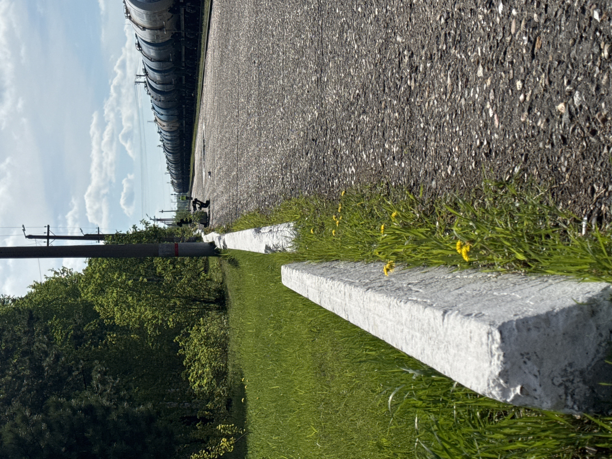 The image displays a bright, sunny outdoor scene captured alongside a railway line in Vysokiy, Russia. The perspective is low, looking along a path that runs parallel to the tracks.
In the immediate foreground, a line of rugged white concrete blocks or curbing separates a vibrant green grassy area from a dark, textured paved surface, likely asphalt or gravel. Scattered yellow dandelions are visible among the grass blades, especially near the concrete elements.
The paved surface, possibly a service road or access path, extends into the distance on the right side of the frame, gradually converging with the railway. To the left of this paved area, a long freight train is visible on the tracks, composed of numerous cylindrical blue and grey tank cars. The train stretches far into the background, suggesting considerable length.
Beyond the railway line and the train, a dense row of green deciduous trees forms a natural backdrop, their foliage appearing lush. Several utility poles with overhead power lines are interspersed between the trees and the railway. The sky above is a clear blue, adorned with scattered white cumulus clouds.
The scene conveys a sense of a functional, tranquil landscape under bright daylight, likely during spring or summer. While no specific activity is taking place, the presence of the train and infrastructure indicates an active railway environment. A small, indistinct dark shape can be seen far down the paved path, but its identity is unclear. There is no visible text in the image.