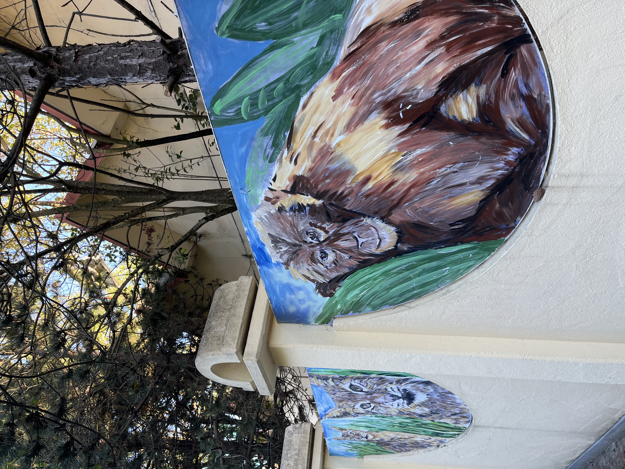 This image captures an outdoor scene featuring two vibrant, circular murals depicting wildlife, mounted on a light-colored building wall. The upper, larger mural showcases a brown and white animal, possibly an orangutan or ape, with expressive eyes, resting on green foliage against a sky-blue background. Below it, a smaller circular mural features an animal with spotted fur, resembling a lynx or wild cat, with prominent, intense eyes, surrounded by green grass.
The left side of the frame and the background are dominated by a dense cluster of tree branches and foliage, including a prominent tree trunk with rough bark in the upper left. Some branches bear pine-like needles. A bright blue sky is visible through the gaps in the trees, indicating a clear, sunny day. The building structure, possibly made of stucco, is light-colored, cream or beige, and includes architectural details like ledges and curved supports.
The scene conveys a peaceful, natural, and artistic ambiance. The murals are well-lit, suggesting daytime. This outdoor art display is likely situated in a public park, zoo, or garden, common in locations like Sochi, Russia. No visible text is present in the image.