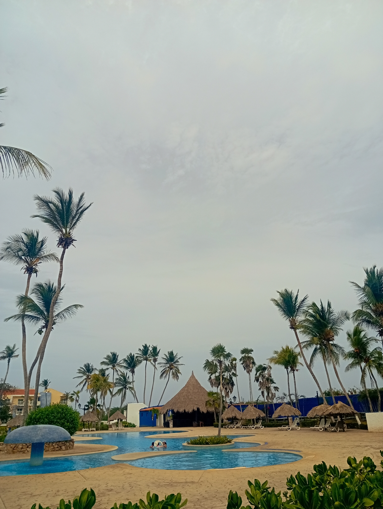 The image depicts a swimming pool area at what appears to be a resort or hotel. The scene is dominated by a pool with interconnected sections and various depths. Palm trees are abundant throughout the scene, lining the pool area and extending towards the sky. There is a thatched-roof bar or structure located at one side of the pool. Some lounge chairs with straw umbrellas are placed near the pool. Some people are swimming in the pool. Vegetation surrounds the pool area. The sky is overcast. There is no strong evidence to conclude this is in Playa El Agua, Venezuela.