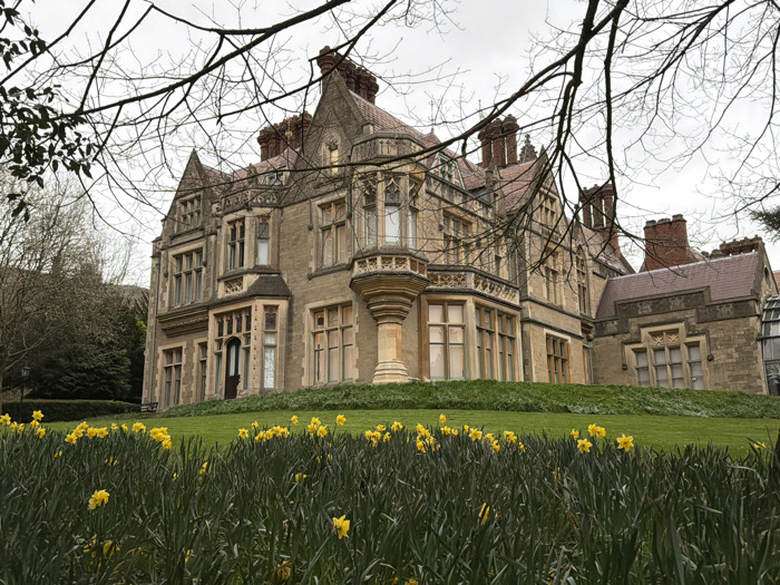 A large, ornate multi-story building, identified as being in the city of Malvern Hills, United Kingdom, occupies the midground. The structure is constructed of light-colored stone masonry with numerous bay windows featuring stone mullions and transoms. Architectural details include multiple gables, dormers, and numerous red brick chimneys rising from a steeply pitched roof clad in reddish-brown tiles. A prominent ornate stone support or balcony extends from a corner bay window. A dark wooden door is visible within a recessed entrance on the left side of the building's facade. In the foreground, a dense patch of yellow daffodils (Narcissus) with green foliage covers the lower portion of the frame. Immediately behind the daffodils, a bright green, well-maintained lawn slopes gently upwards towards the building. The background reveals bare deciduous trees against an overcast, light grey sky. Denser evergreen trees are visible to the left of the building. No individuals, animals, or active interactions are present in the scene. The lighting is diffused and uniform, consistent with an overcast day.