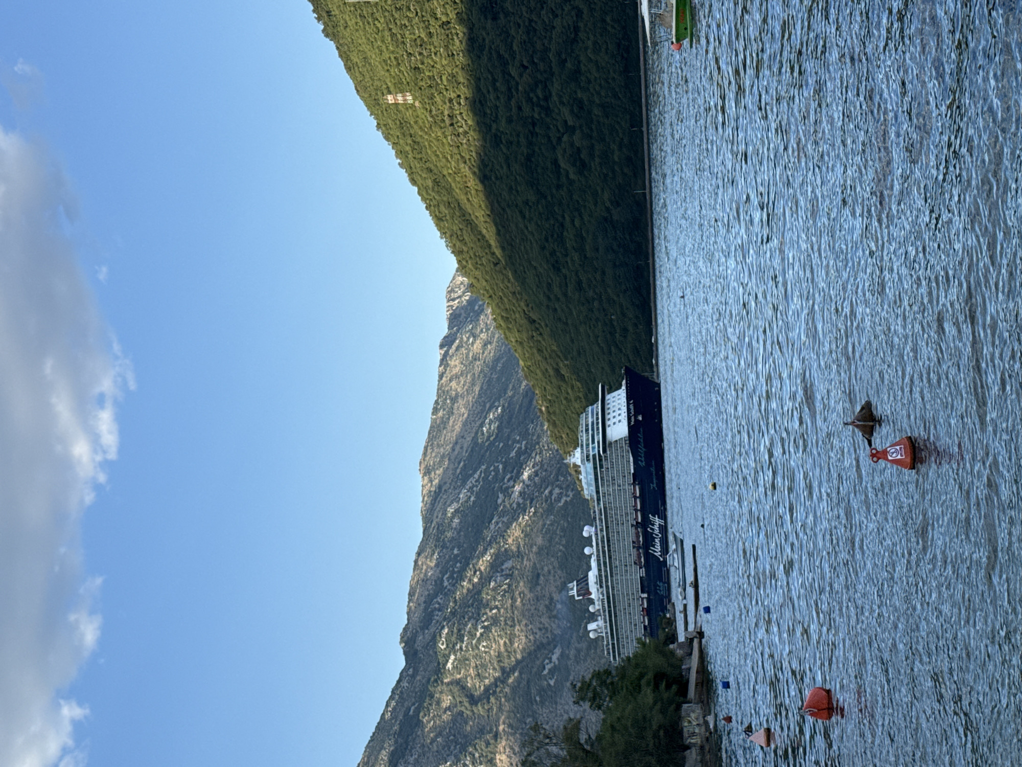 A large cruise ship named "Mein Schiff" is anchored in a bay near Lepetane, Montenegro. The ship is dark blue and white with several decks and a tall funnel. It is positioned in the middle ground of the image, with green, tree-covered mountains rising behind it. The mountains are steep and rocky, with a clear blue sky above. The water in the foreground is calm and blue, with several buoys scattered across its surface. A small white boat is docked on the left side of the image, near some trees and a rocky shore. Another small green boat is visible on the far right side of the image. The overall scene is serene and picturesque, showcasing a beautiful coastal landscape.