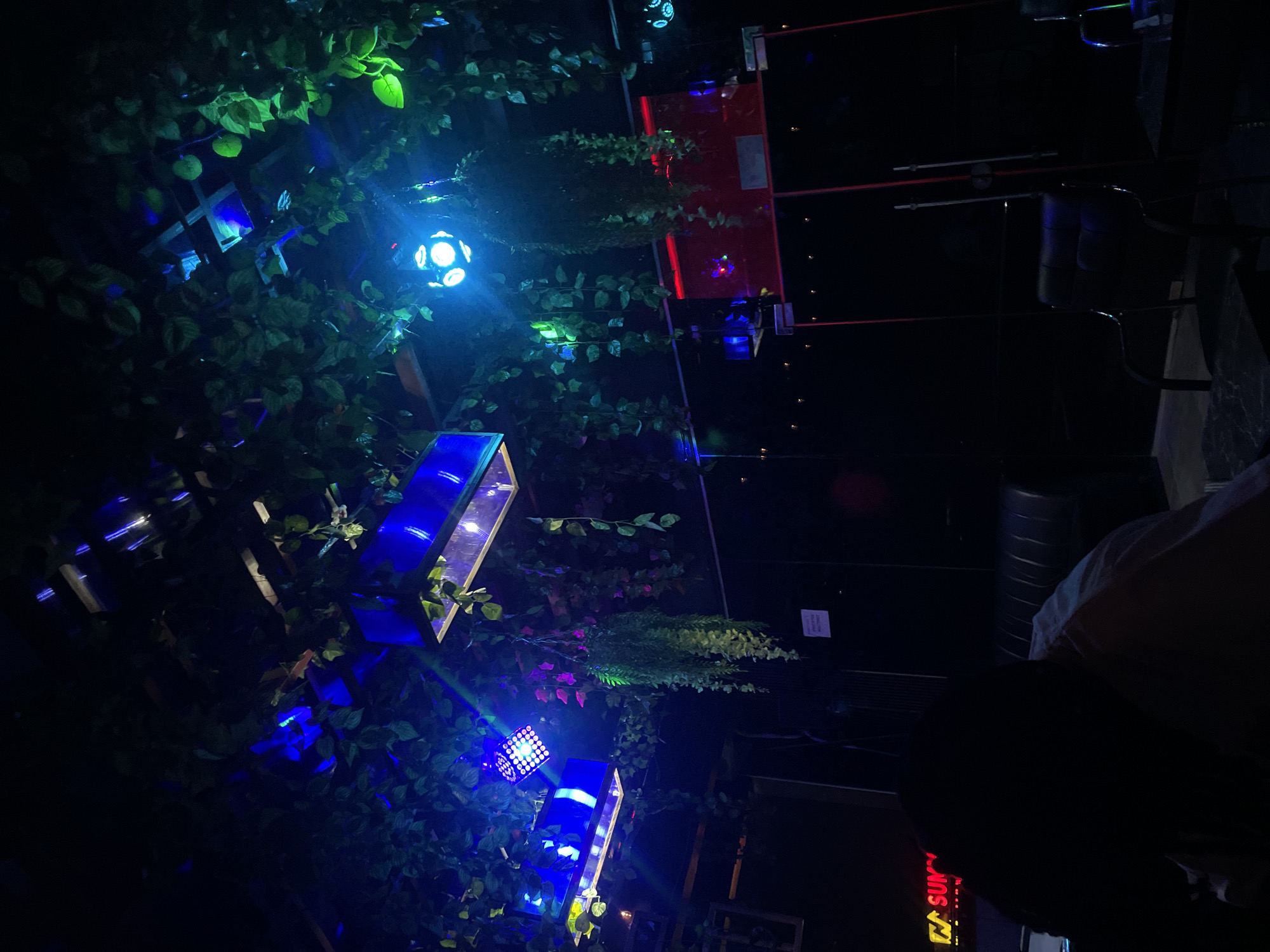 The image depicts an outdoor nighttime scene in Abuja, Nigeria, illuminated by various colorful lights. A wall is decorated with artificial vines and leaves, interwoven with blue and white LED lights. Rectangular light fixtures with blue lighting are mounted on the wall. A red structure is visible in the background, possibly part of a building or stage. Overhead wires and other architectural elements are also visible against the dark sky. Part of a sign with the word "SUN" written on it is at the bottom of the image. The scene is dimly lit with a mix of artificial lighting.