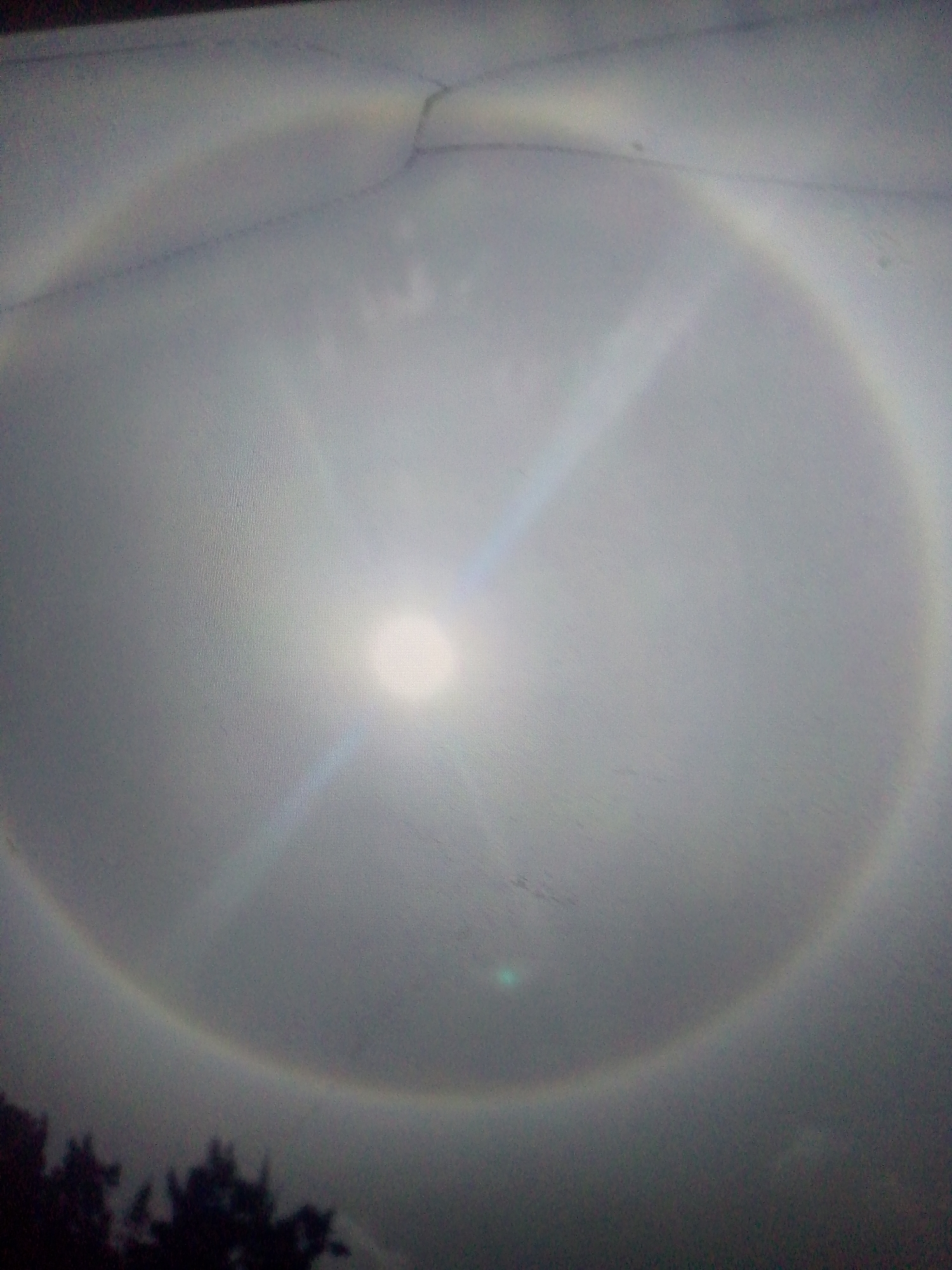 The image depicts a 22° halo around the sun, a meteorological phenomenon caused by sunlight refracting through ice crystals in cirrus clouds high in the atmosphere. The sun appears as a bright, circular disk in the center of the image, surrounded by a large, luminous ring. The sky is overcast with gray, hazy clouds. The lower portion of the image shows silhouetted treetops. The image was taken during the day. There is no indication of a location in Caracas, Venezuela.
