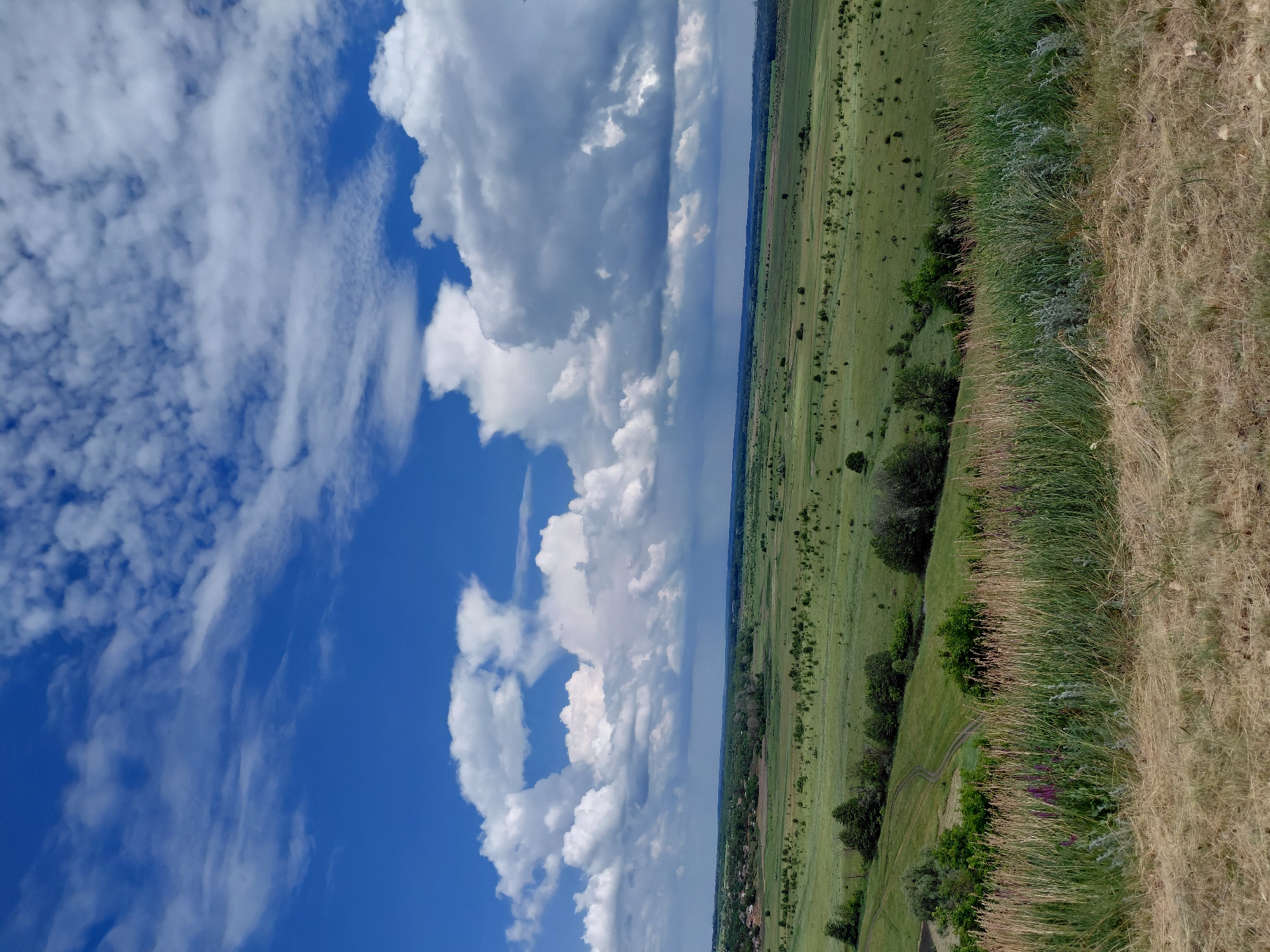 This is a landscape photograph taken from a high vantage point overlooking a rural area. The sky is a vibrant blue, filled with dramatic, fluffy white cumulus clouds, some of which cast shadows on the land below. In the distance, a village or small town is visible, nestled amongst green trees. The foreground is dominated by dry, golden grass, with patches of taller green grass and some purple wildflowers. Beyond the foreground, rolling green fields stretch out, dotted with numerous small trees and shrubs. A winding dirt track or road can be seen traversing a grassy hillside. The overall impression is one of a peaceful, sunlit, rural scene in Ukraine, possibly in the vicinity of Ustyvytsia, given the context.
