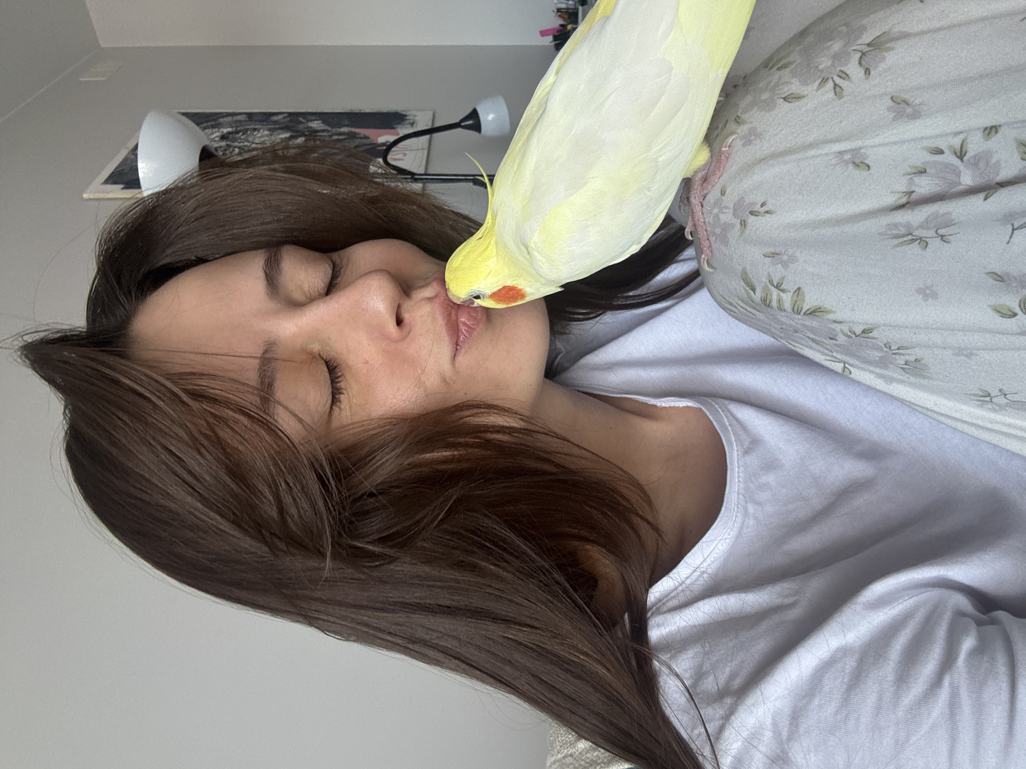 An indoor, close-up, diagonal shot shows a woman and a yellow cockatiel engaged in an affectionate interaction, likely in a home in Krasnoyarsk, Russia. The woman, with long, dark brown hair, is lying down, wearing a simple white t-shirt. Her eyes are closed, and her facial expression suggests contentment or a gentle smile, indicating she is enjoying the moment.
A light yellow cockatiel, distinguished by its orange cheek patch, is perched on or near her face, with its beak gently touching her lips, resembling a kiss or an affectionate peck. The bird's pink talons are visible, gripping a floral-patterned fabric, likely a pillow or bedding, which features subtle gray or light purple flower designs on a light background.
In the background, a plain white wall is visible. To the upper left, a white desk lamp with a conical shade can be seen, partially obscured by the woman's hair. Behind the lamp, there appears to be a dark-colored framed picture or poster with abstract markings. The lighting suggests an indoor setting without strong natural light cues for a specific time of day. No visible text is present in the image.