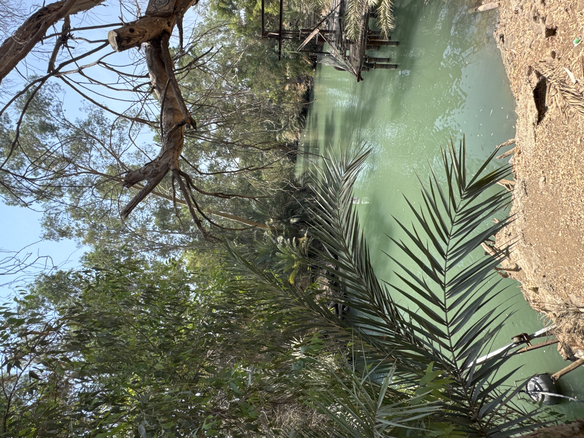 The image shows a tranquil scene along the Jordan River in the Emek HaYarden Regional Council, Israel. A lush bank of trees and foliage lines the turquoise water. In the foreground, a large palm frond hangs over the river. To the right, a rustic wooden structure, possibly a dock or a baptismal site, extends into the water supported by thick posts. The river itself appears calm, with small fish visible near the surface. The overall atmosphere is one of natural beauty and serenity.