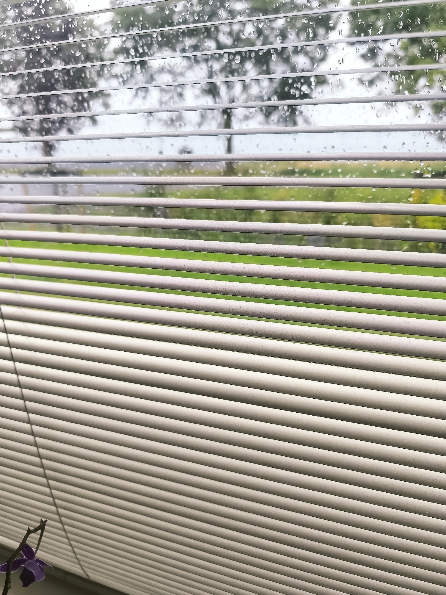 The image depicts a view through a partially closed window with horizontal blinds. Raindrops are visible on the windowpane, obscuring the outdoor scenery. Outside, a green lawn is visible, with trees in the background. The overall impression is one of a rainy day. The image provides no specific details that would allow for its location to be identified within Almere, Netherlands. There are no people or specific actions taking place.
