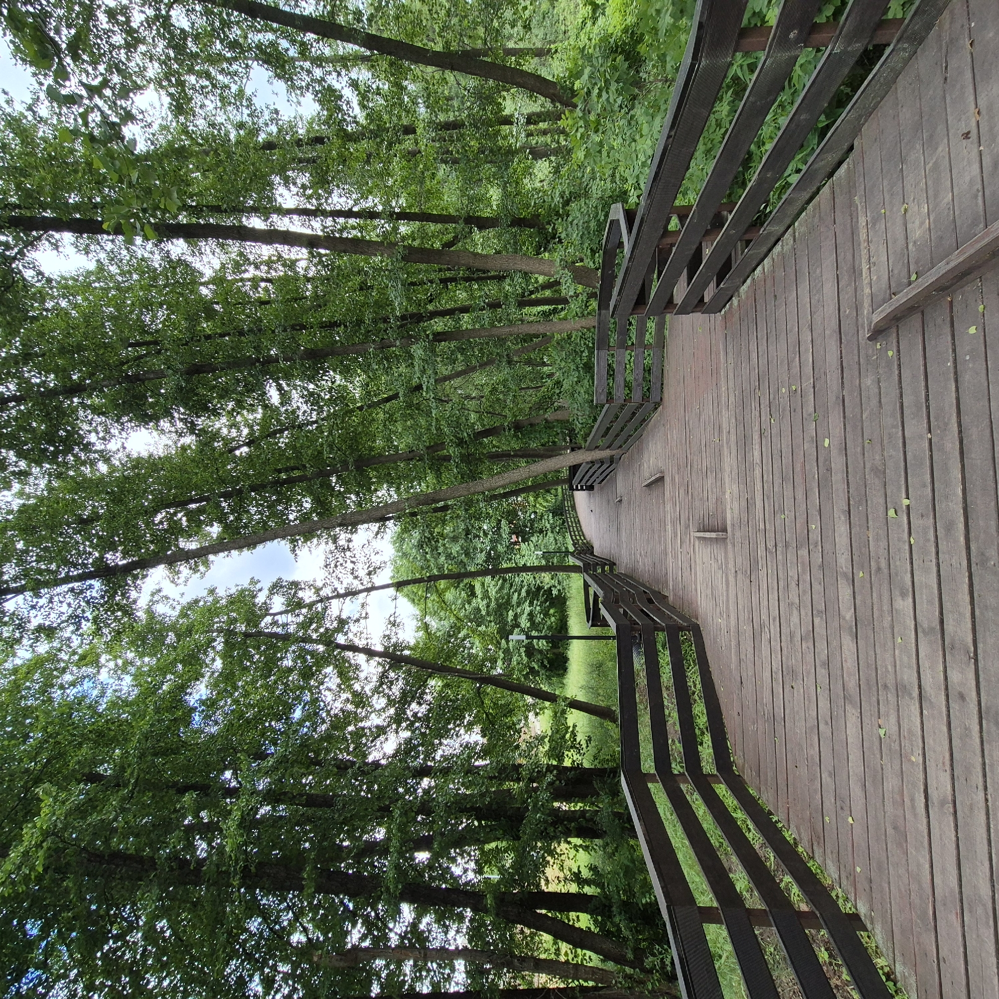 The image shows a wooden walkway in a park. The walkway is made of dark brown planks and has dark brown railings on both sides. The walkway is elevated and curves to the left as it extends into the distance. The surrounding environment is a dense forest with tall green trees. The sky is visible through the trees and appears to be partly cloudy. There are a few scattered leaves on the walkway. There are no people or animals visible in the image. The scene appears to be peaceful and natural. This walkway is located in the city of Liski, Russia.