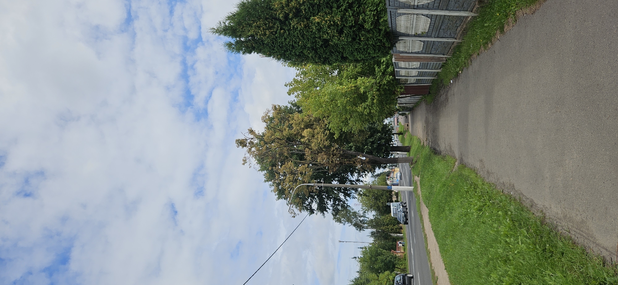 The image depicts a street scene in Vitsebsk, Belarus, on a cloudy day. A paved sidewalk runs parallel to a road, bordered by a grassy median on one side and a decorative concrete fence on the other. Several vehicles, including cars and a truck, are visible on the road. Mature trees line the sidewalk and the opposite side of the road, with one tree displaying yellowing foliage, suggesting it may be autumn. A street lamp stands near the sidewalk. In the distance, a bridge can be seen spanning a body of water, and a few people are walking along the sidewalk. The overall atmosphere is one of a typical urban residential area.