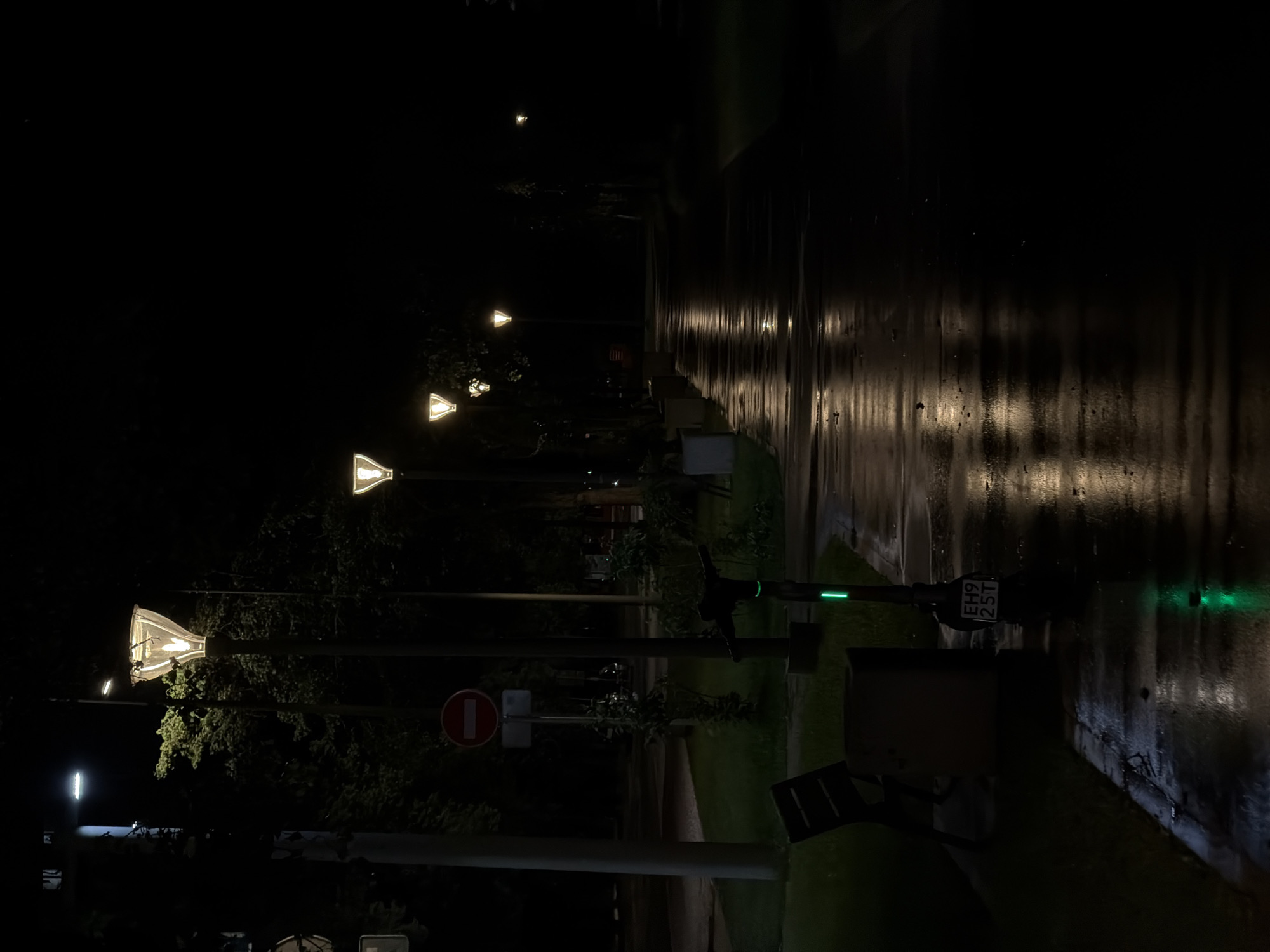 The image depicts a night scene on a street in Moscow, Russia. The road appears wet, reflecting the light from several street lamps. The lamps are evenly spaced along the street. On the right side of the image, a traffic light is visible, displaying a green signal. Near the traffic light, a vehicle (possibly a scooter) is parked. A "no entry" traffic sign can be observed on the left side of the image. The surrounding environment consists of trees and other vegetation along the street.